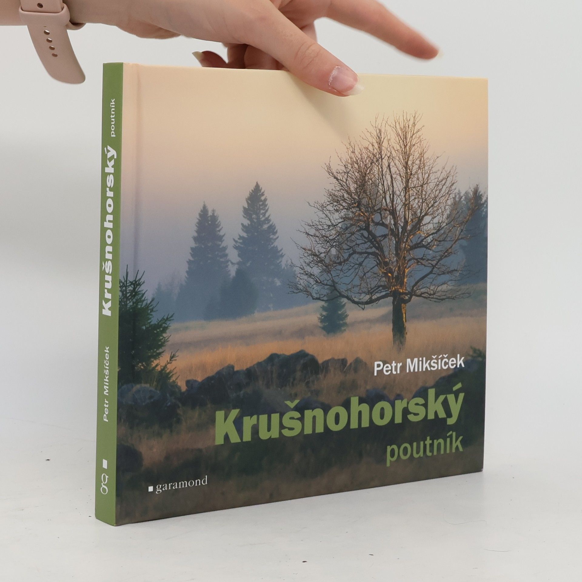 Petr Mikšíček Krušnohorský poutník