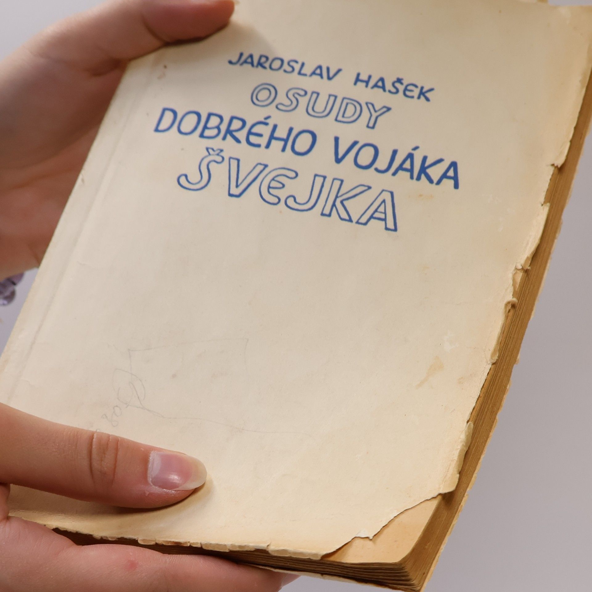 Jaroslav Hašek Osudy dobrého vojáka Švejka za světové války. První díl. V zázemí.