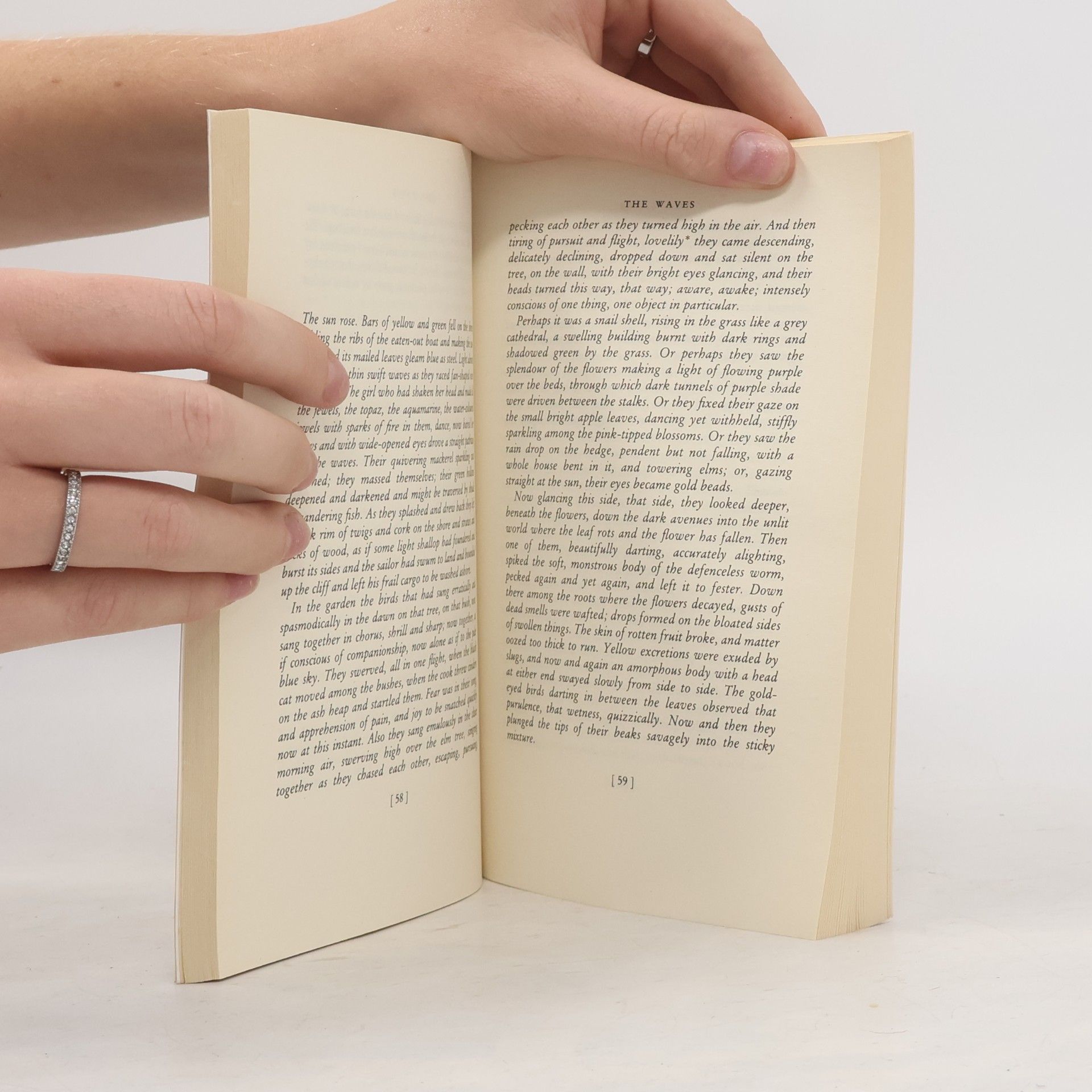 Virginia Woolf The Waves