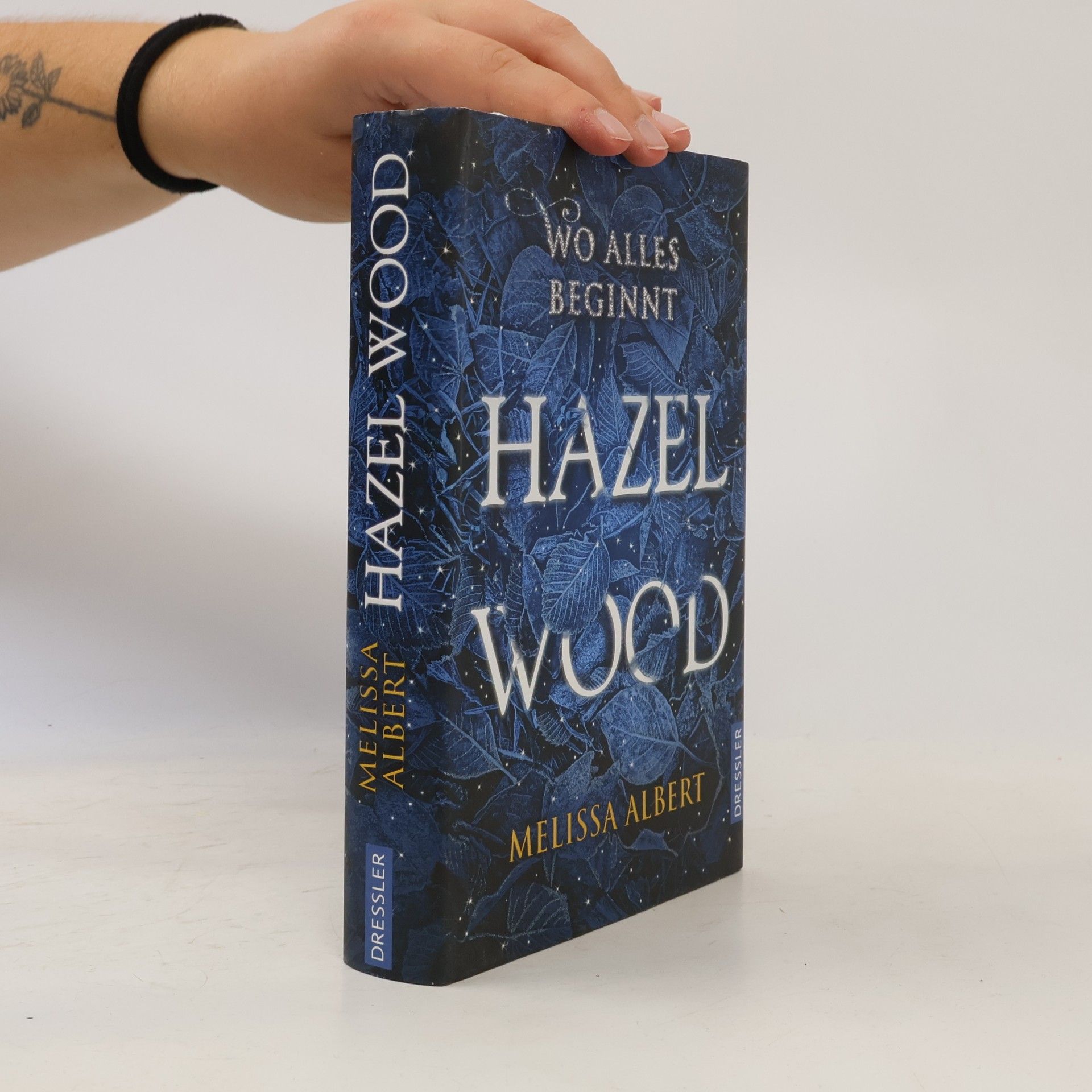 Melissa Albert Hazel Wood: Wo alles beginnt