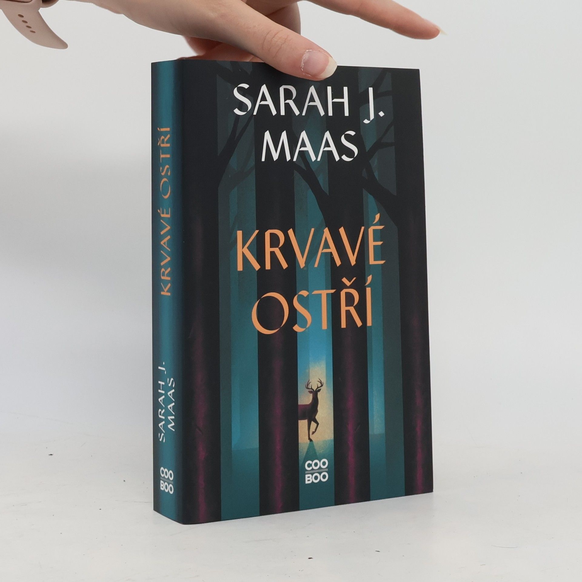 Sarah J. Maas Krvavé ostří
