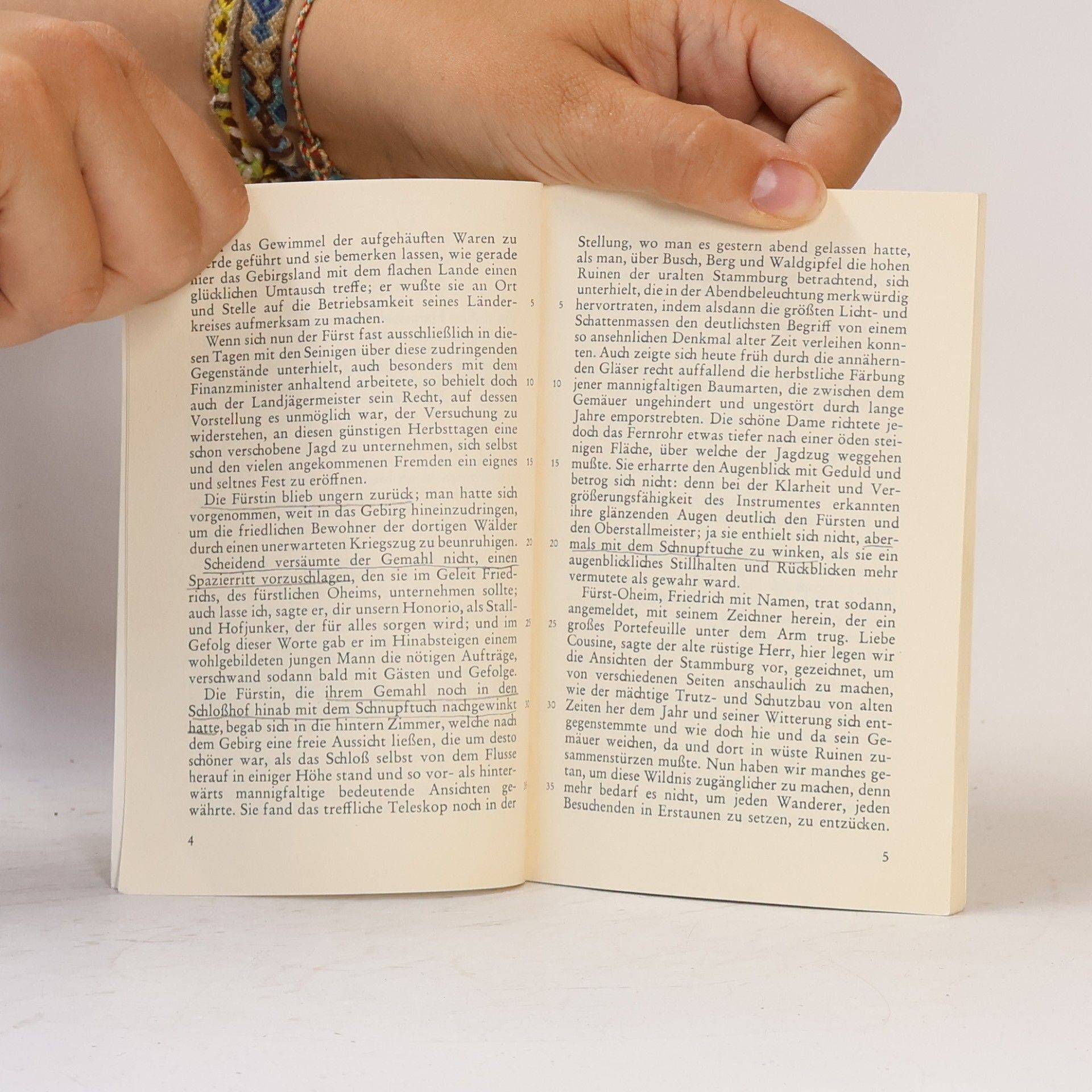 Johann Wolfgang von Goethe Novelle: Das Märchen