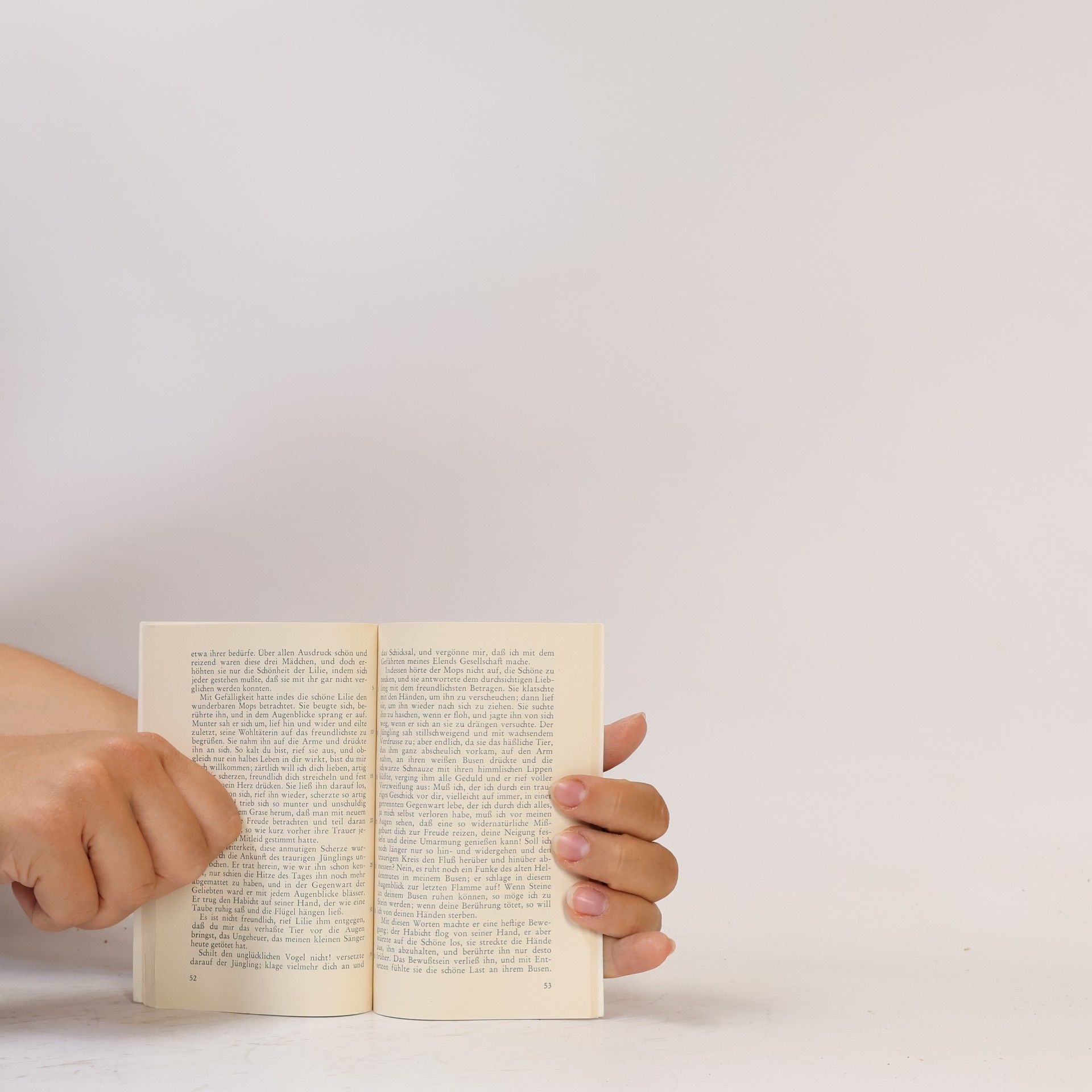 Johann Wolfgang von Goethe Novelle: Das Märchen