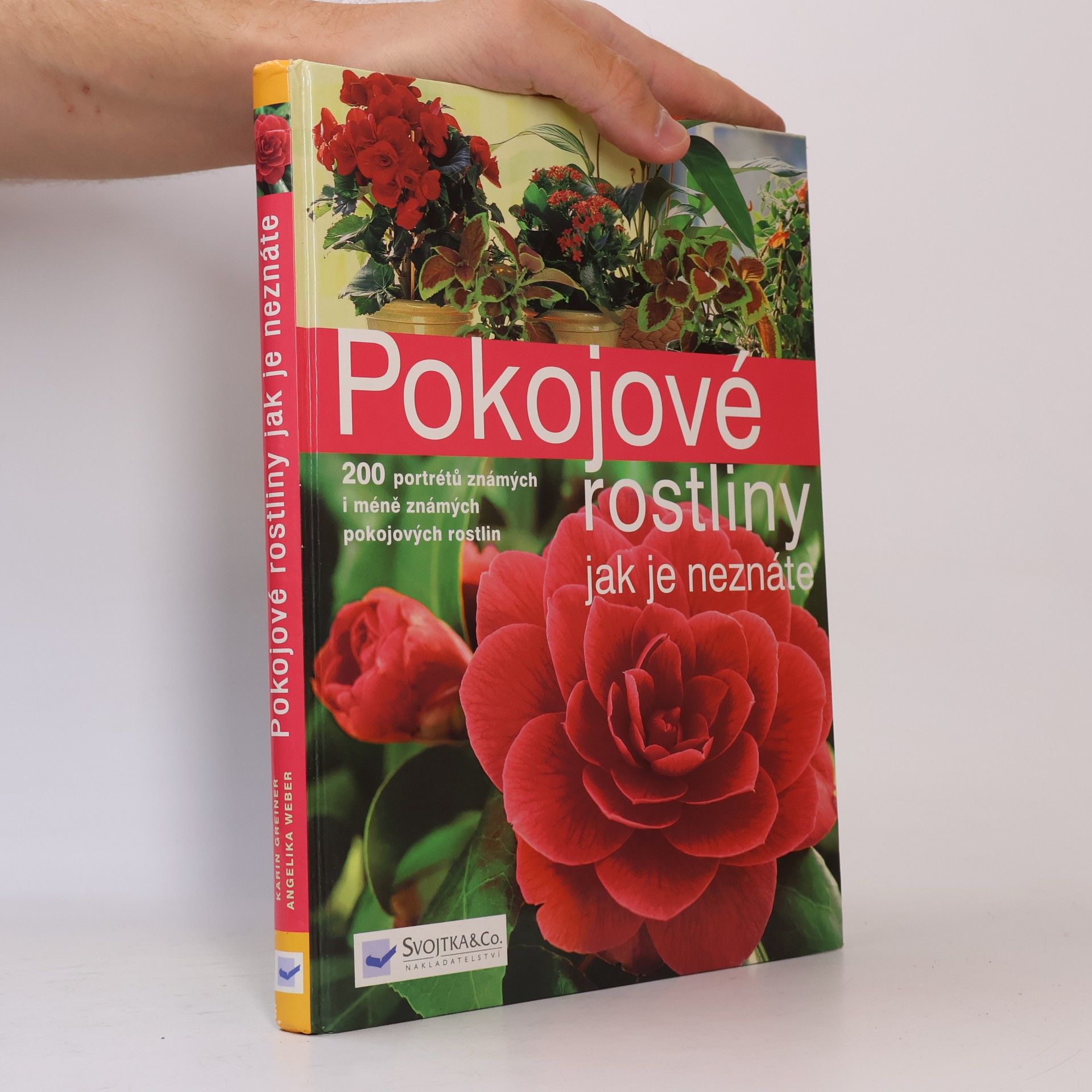 Annette Hempfling Pokojové rostliny jak je neznáte