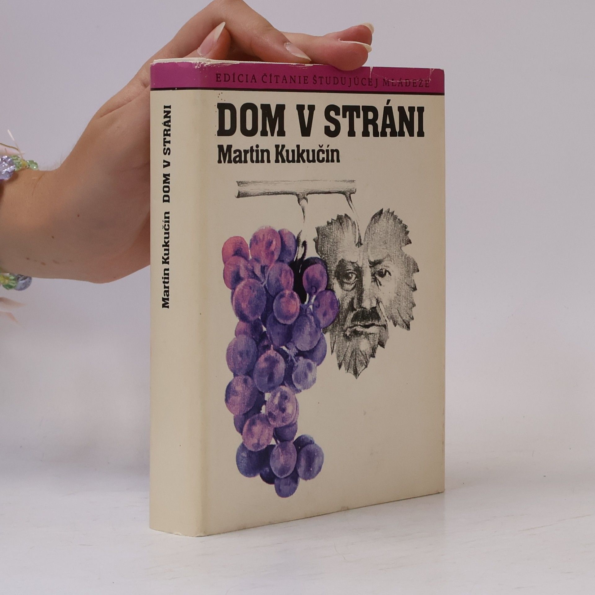 Martin Kukučín Dom v stráni