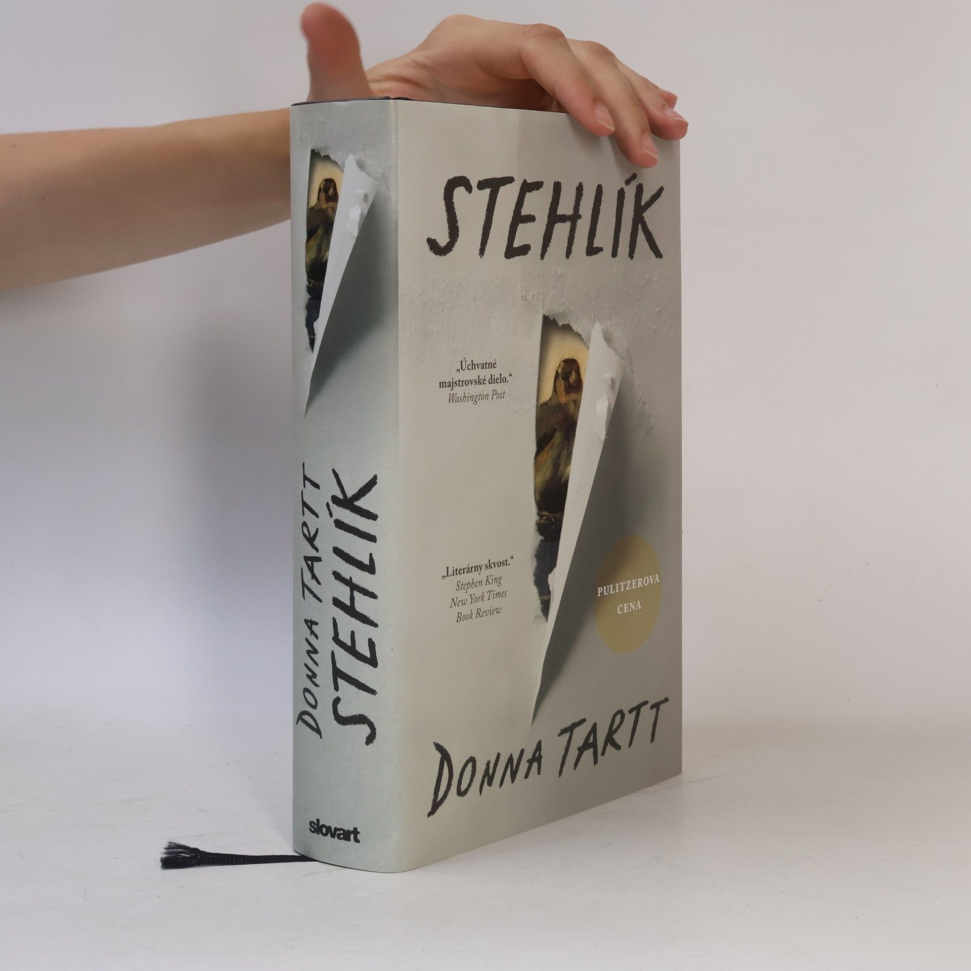 Donna Tartt Stehlík