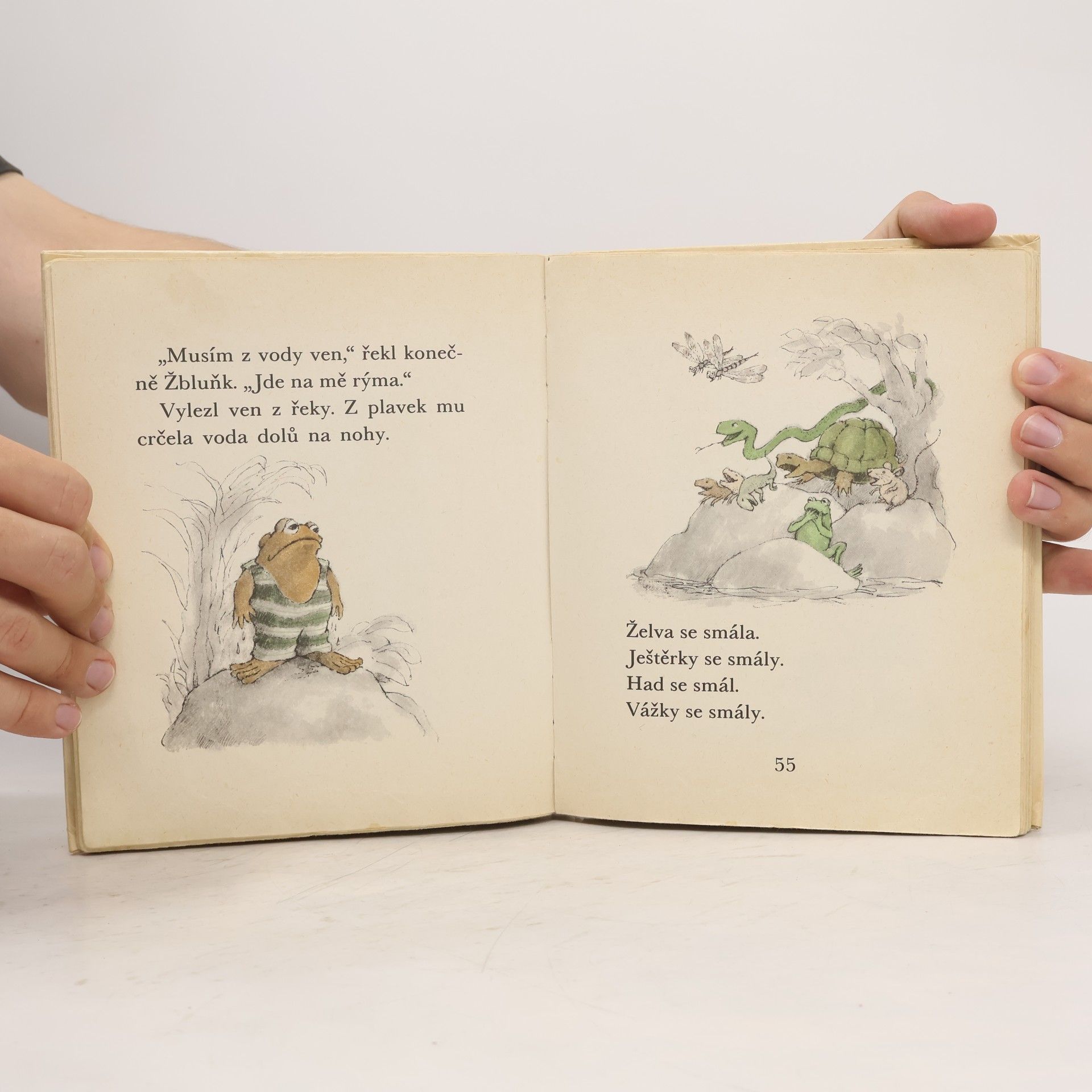Arnold Lobel Kvak a Žbluňk jsou kamarádi