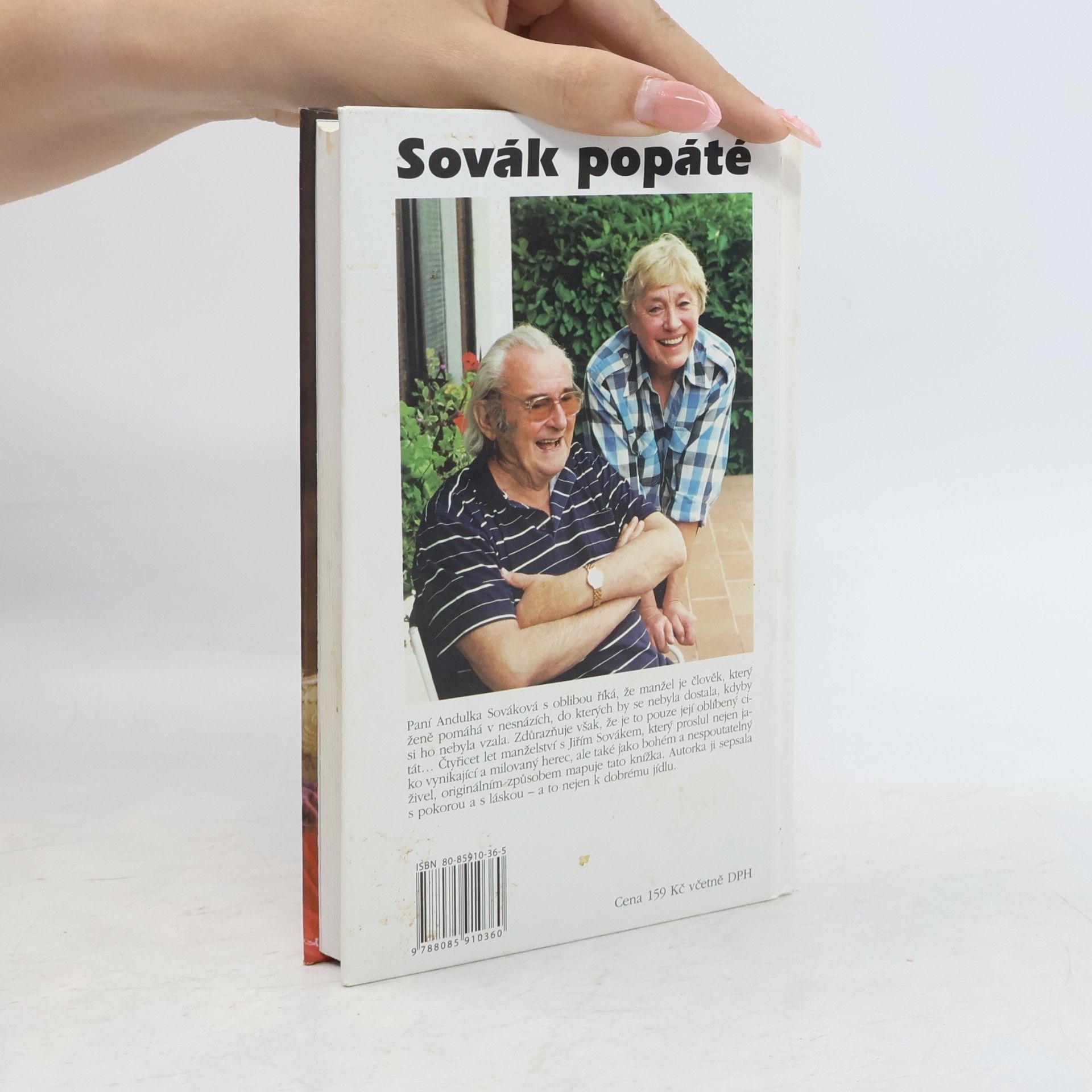 Anna Sováková Sovák popáté. Život se Sovákem, aneb, Uragán