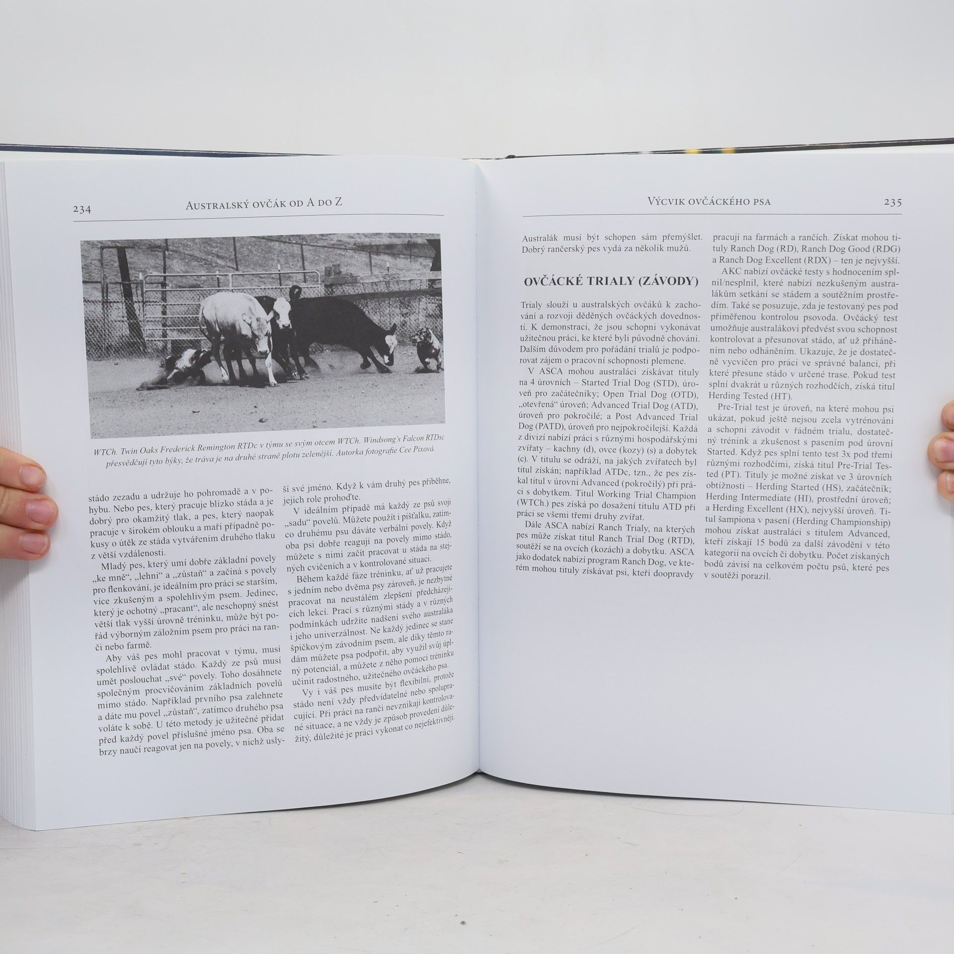 Jeanne Joy Hartnagle Taylor Australský ovčák od A do Z