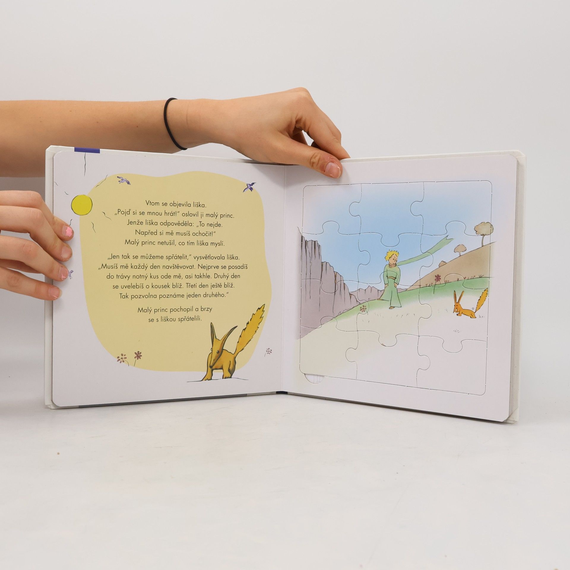 Florentine Specht Malý princ : knížka s puzzle