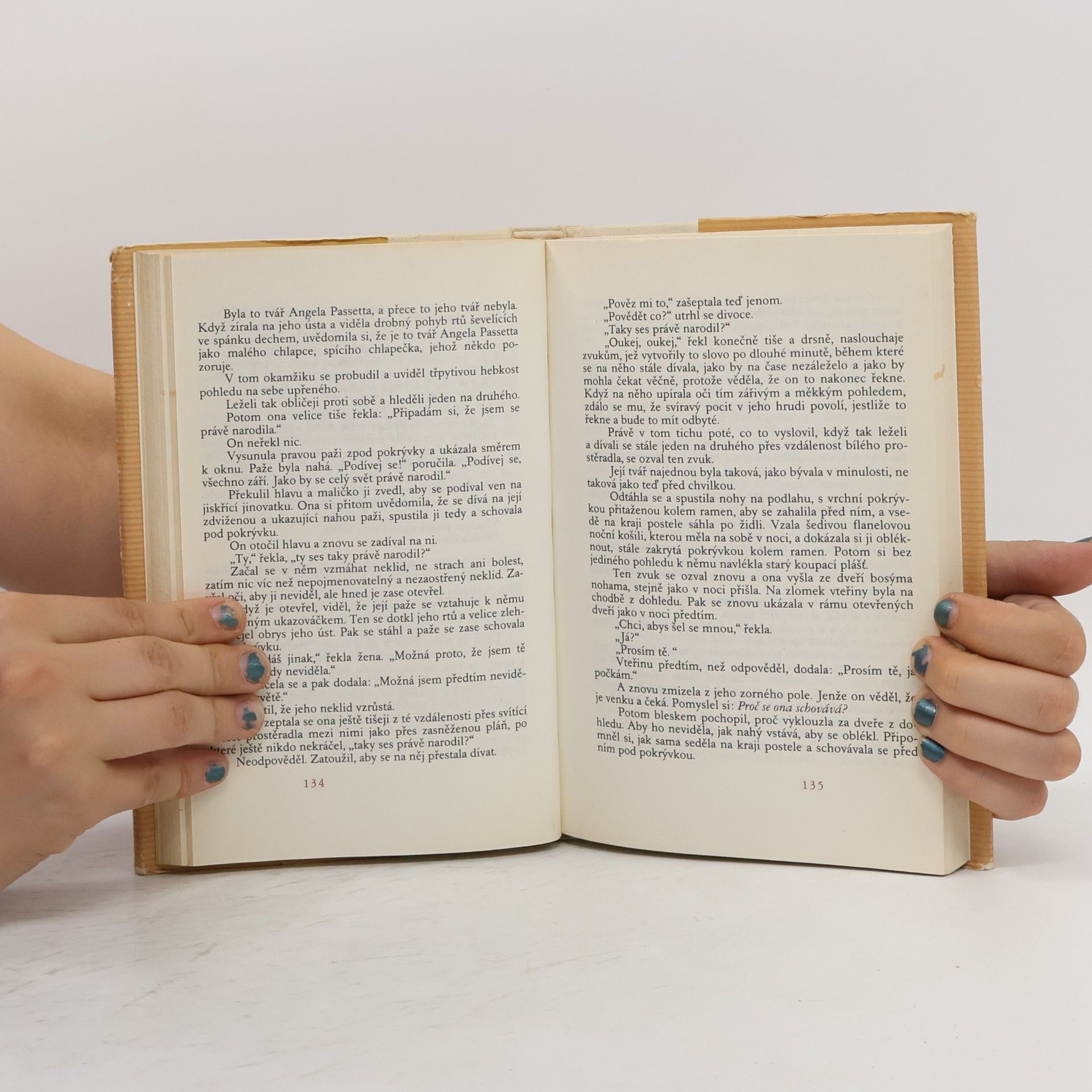Robert Penn Warren Na shledanou v zeleném údolí