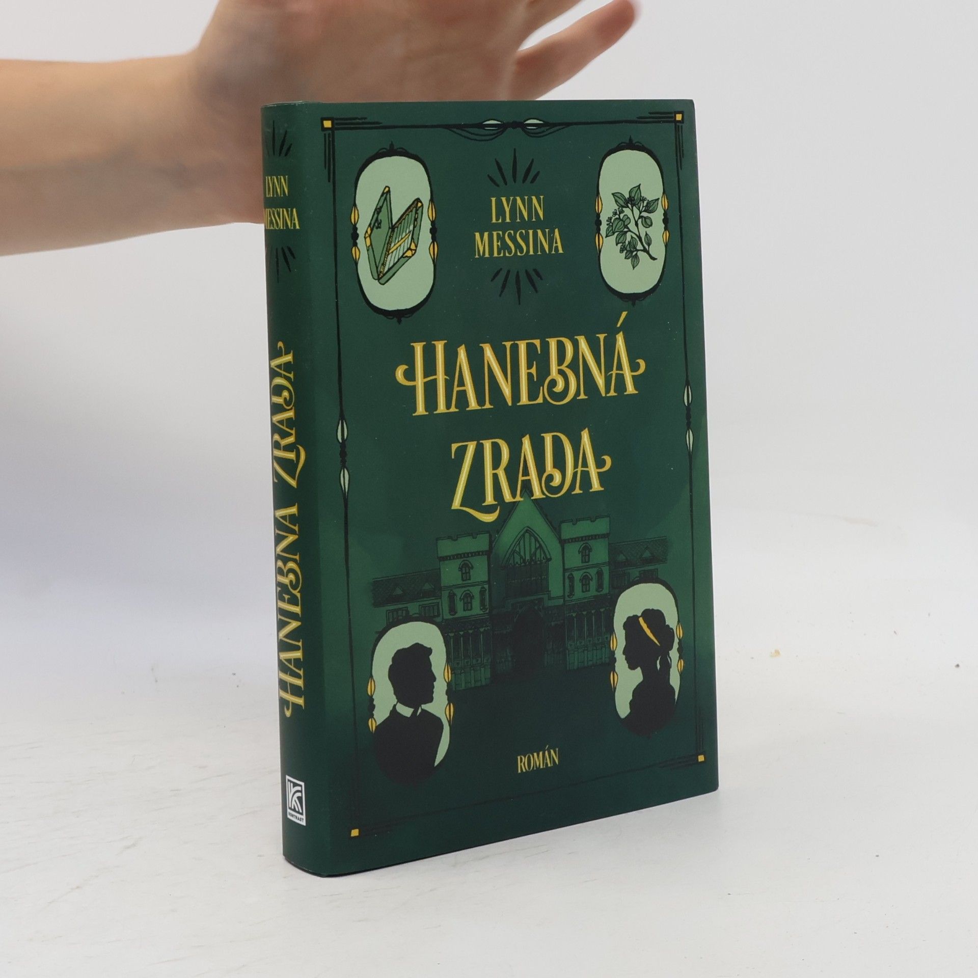 Lynn Messina Hanebná zrada