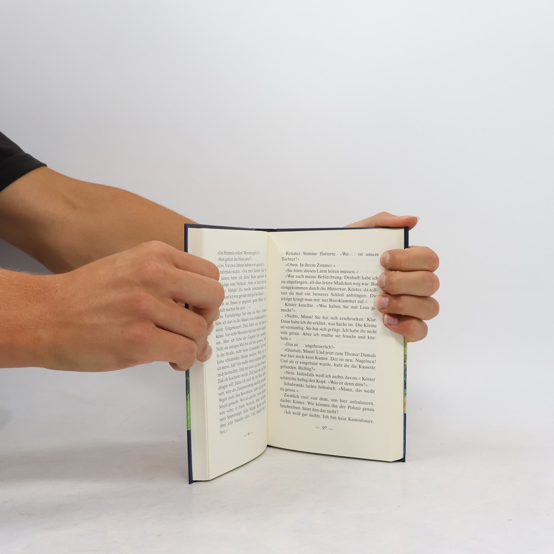 Rolf Kalmuczak Der Magier und das Power-Trio, Bd.4, Im Nest der Horrorwespe