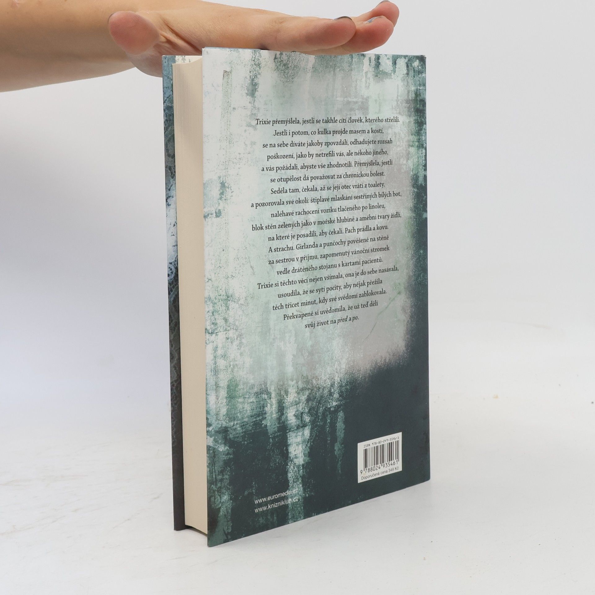 Jodi Picoult Desátý kruh