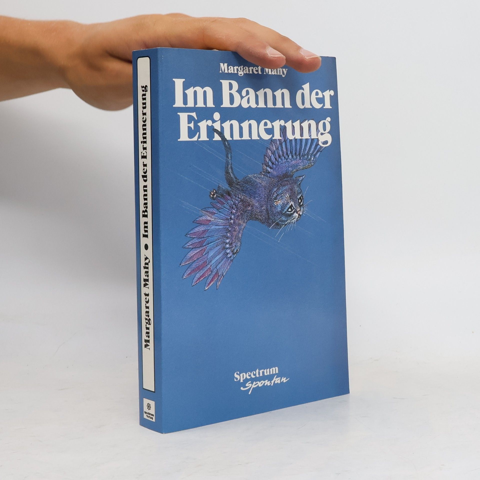 Margaret Mahy Im Bann der Erinnerung