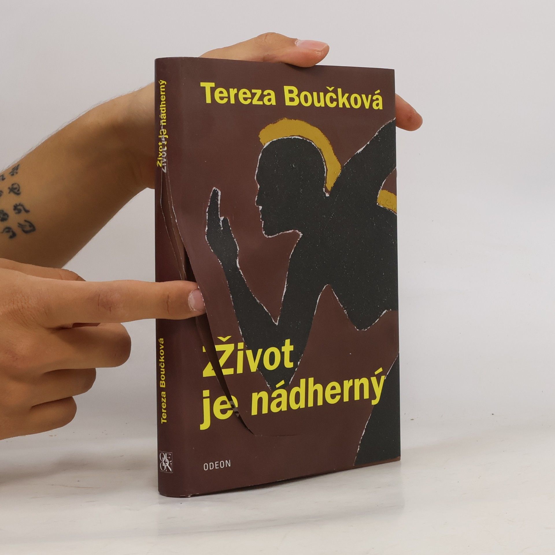 Tereza Boučková Život je nádherný