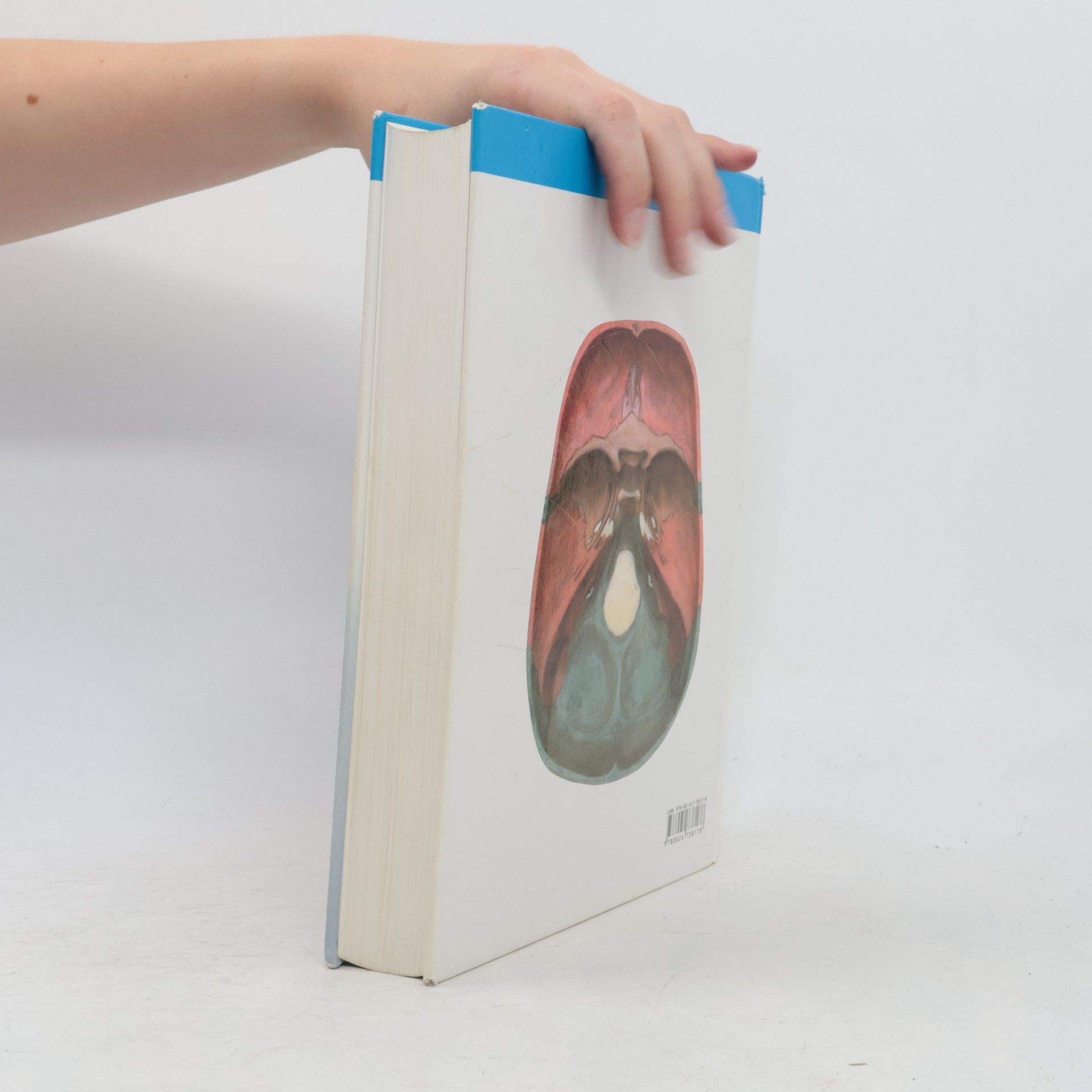 Oldřich Fejfar Anatomie 1
