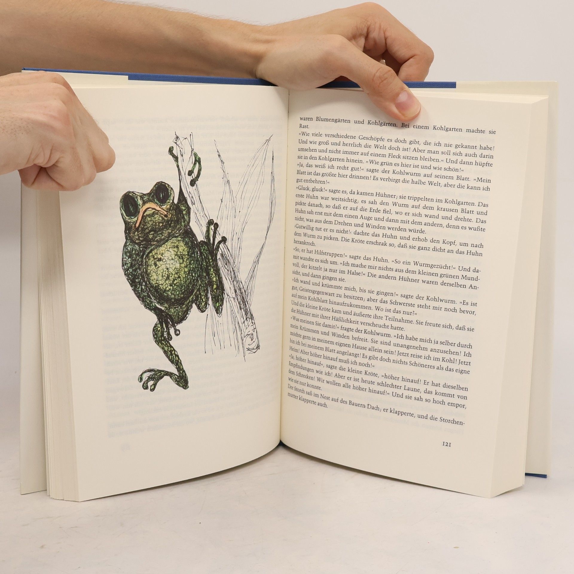 Hans Christian Andersen Andersens Märchen