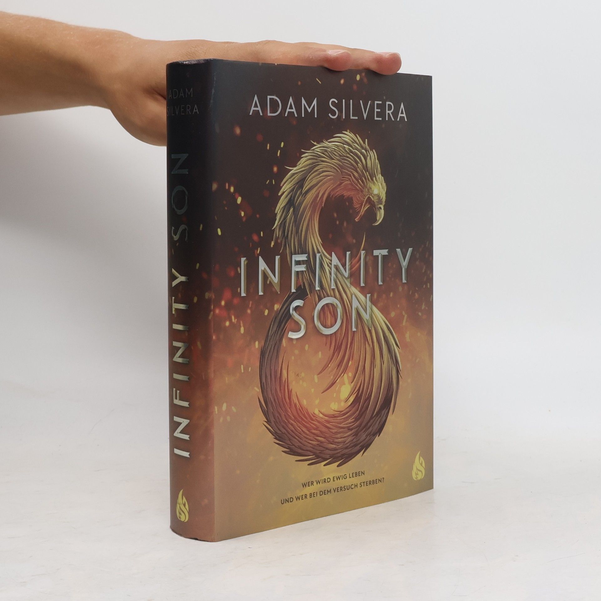 Adam Silvera Infinity son