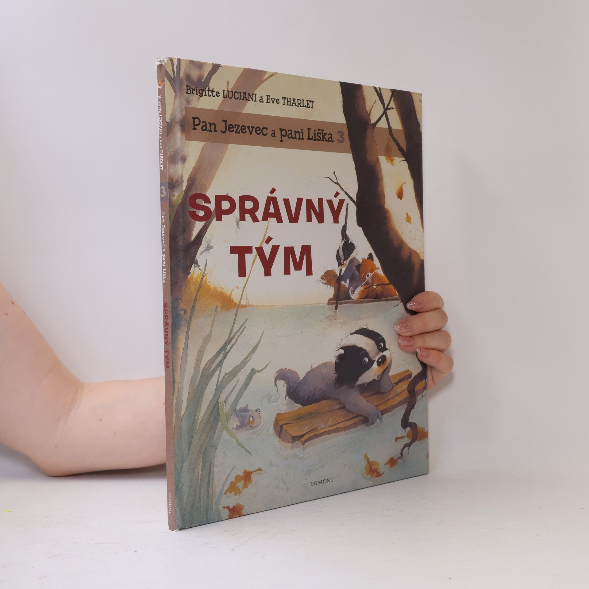 Brigitte Luciani Správný tým