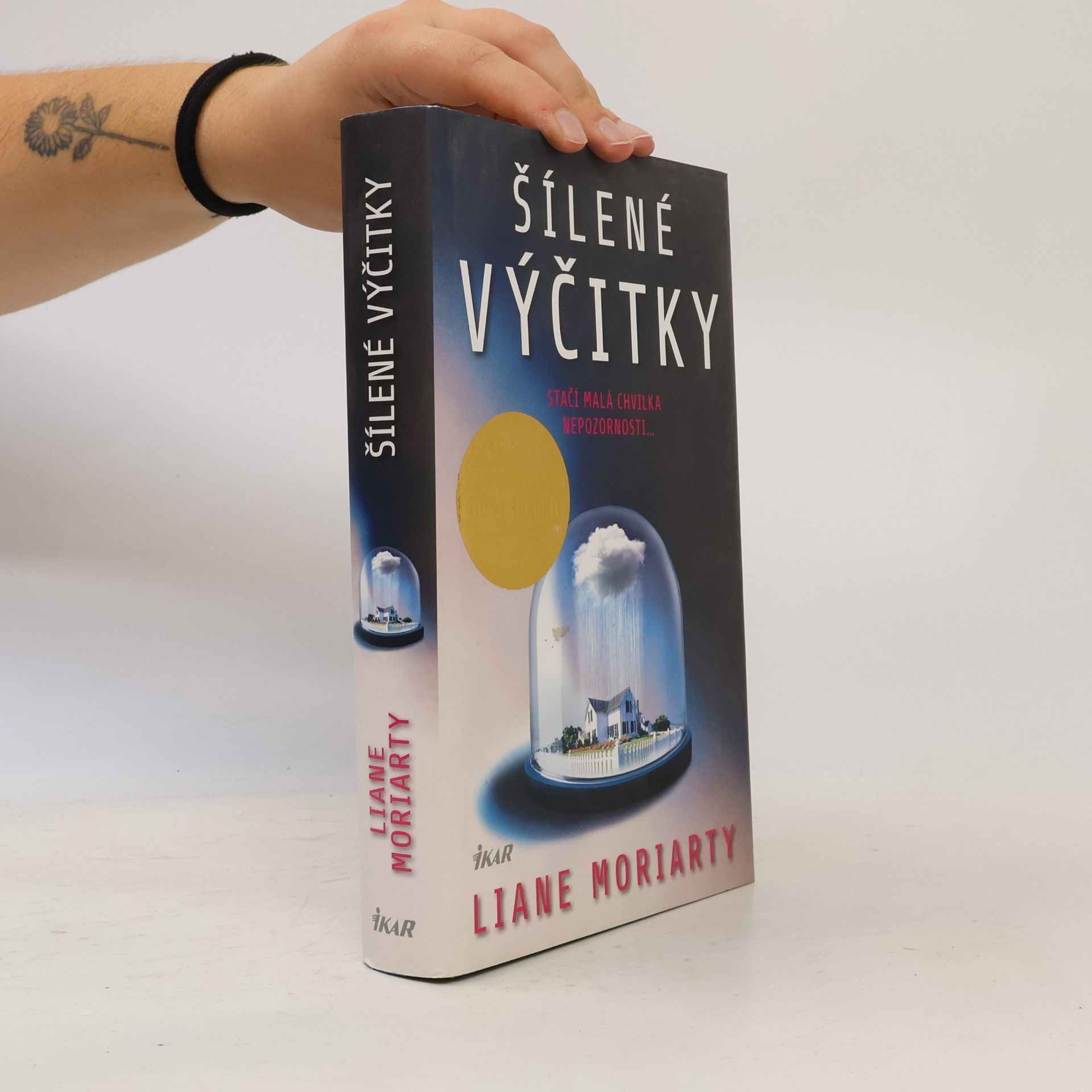 Liane Moriarty Šílené výčitky
