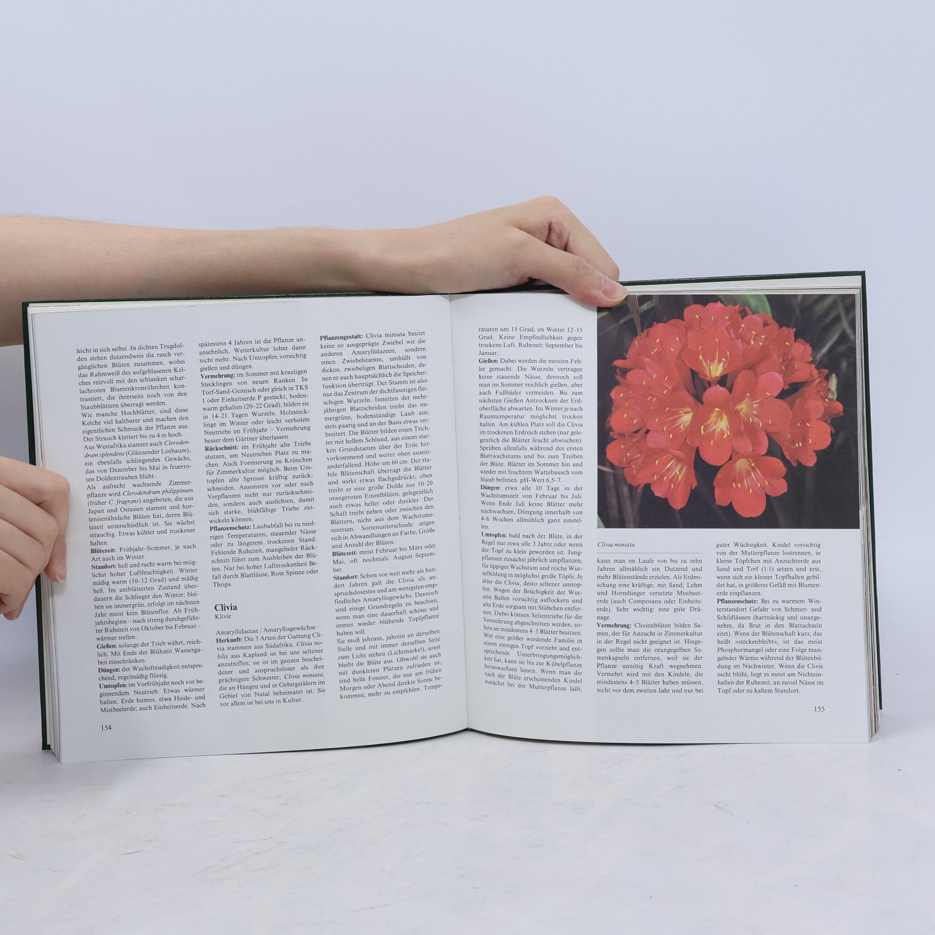 Autores varios Das neue große farbige Buch der Zimmerpflanzen
