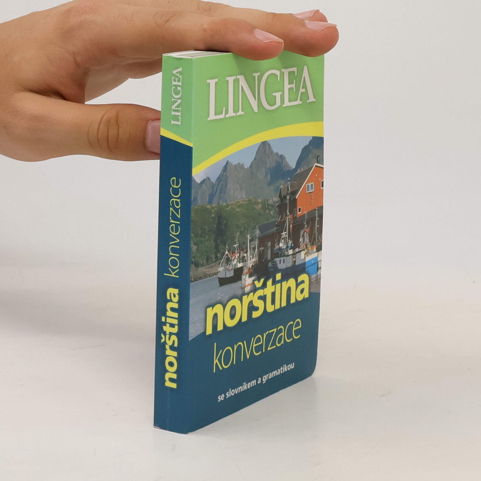 Various authors Norština. Konverzace se slovníkem a gramatikou
