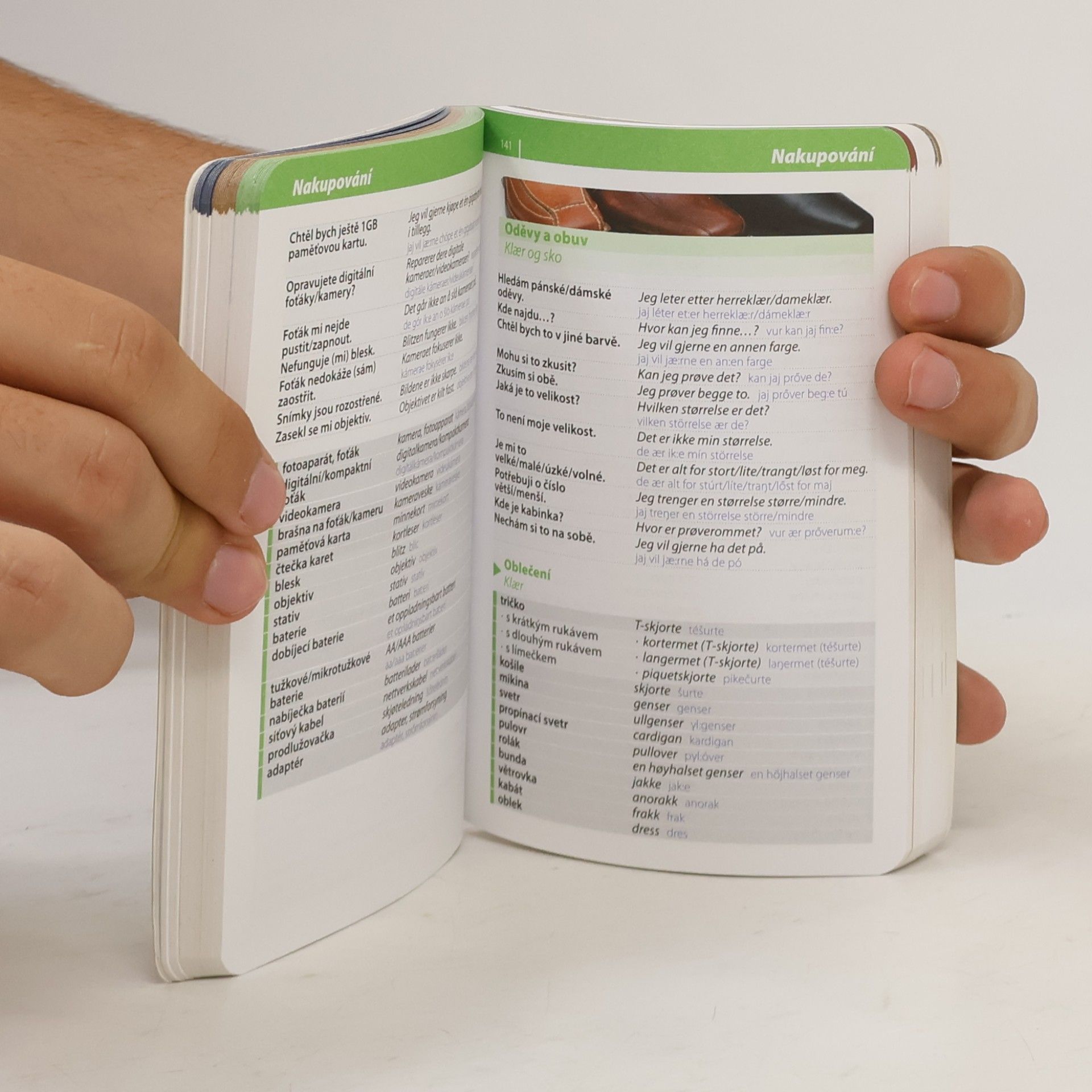 Autorenkollektiv Norština. Konverzace se slovníkem a gramatikou