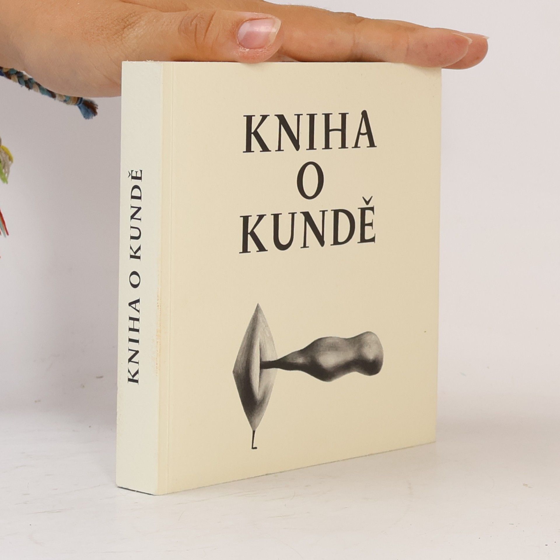 Nela D. Aston Kniha o kundě