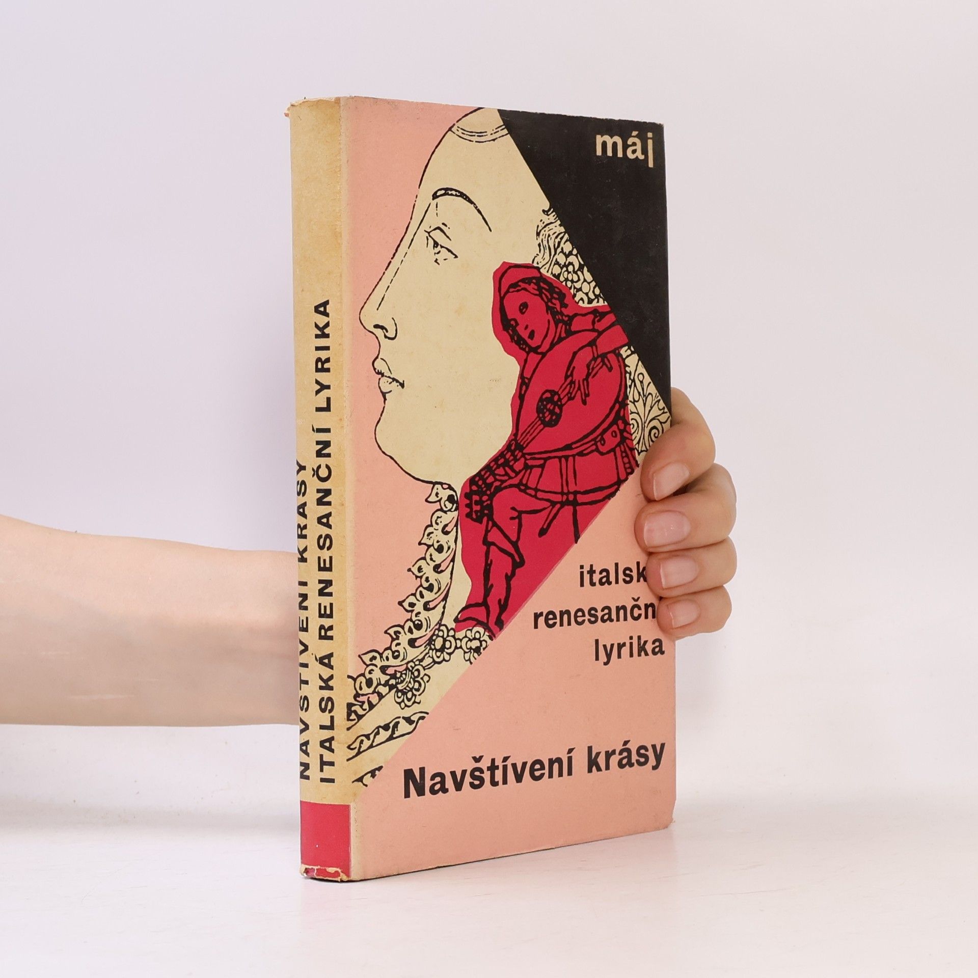 Jan Vladislav Navštívení krásy. Italská renesanční lyrika