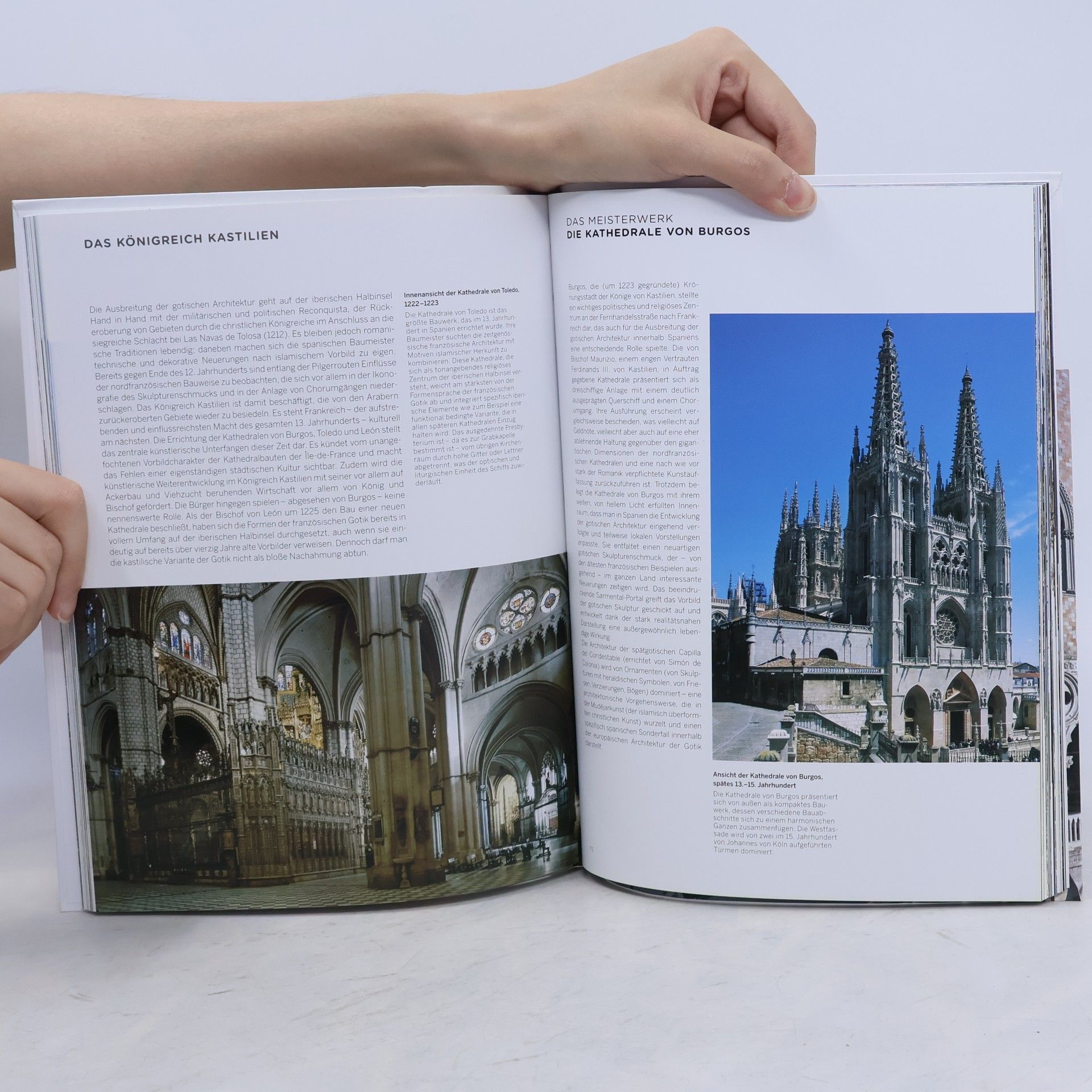 Prina Francesca Geschichte der Architektur