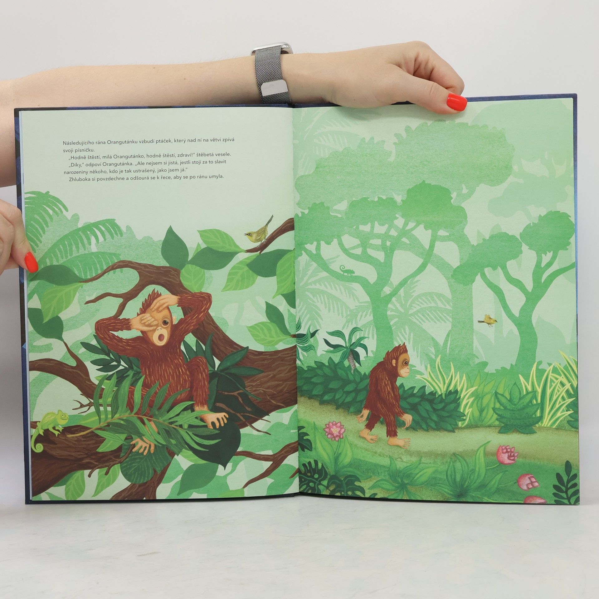 Sophie Holmqvist Orangutánka má strach