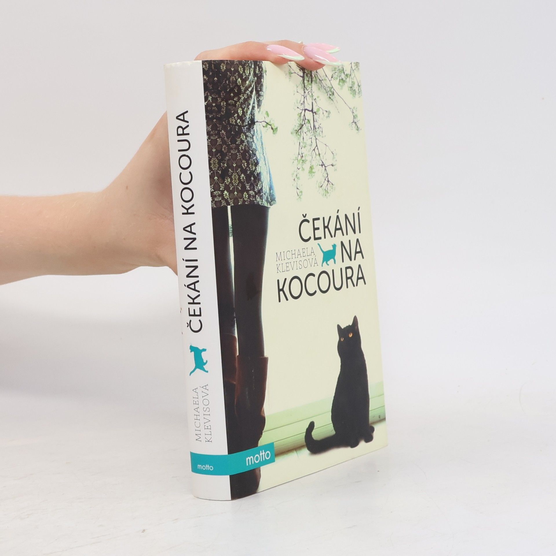 Michaela Klevisová Čekání na kocoura: Příběhy o kočkách a jejich lidech