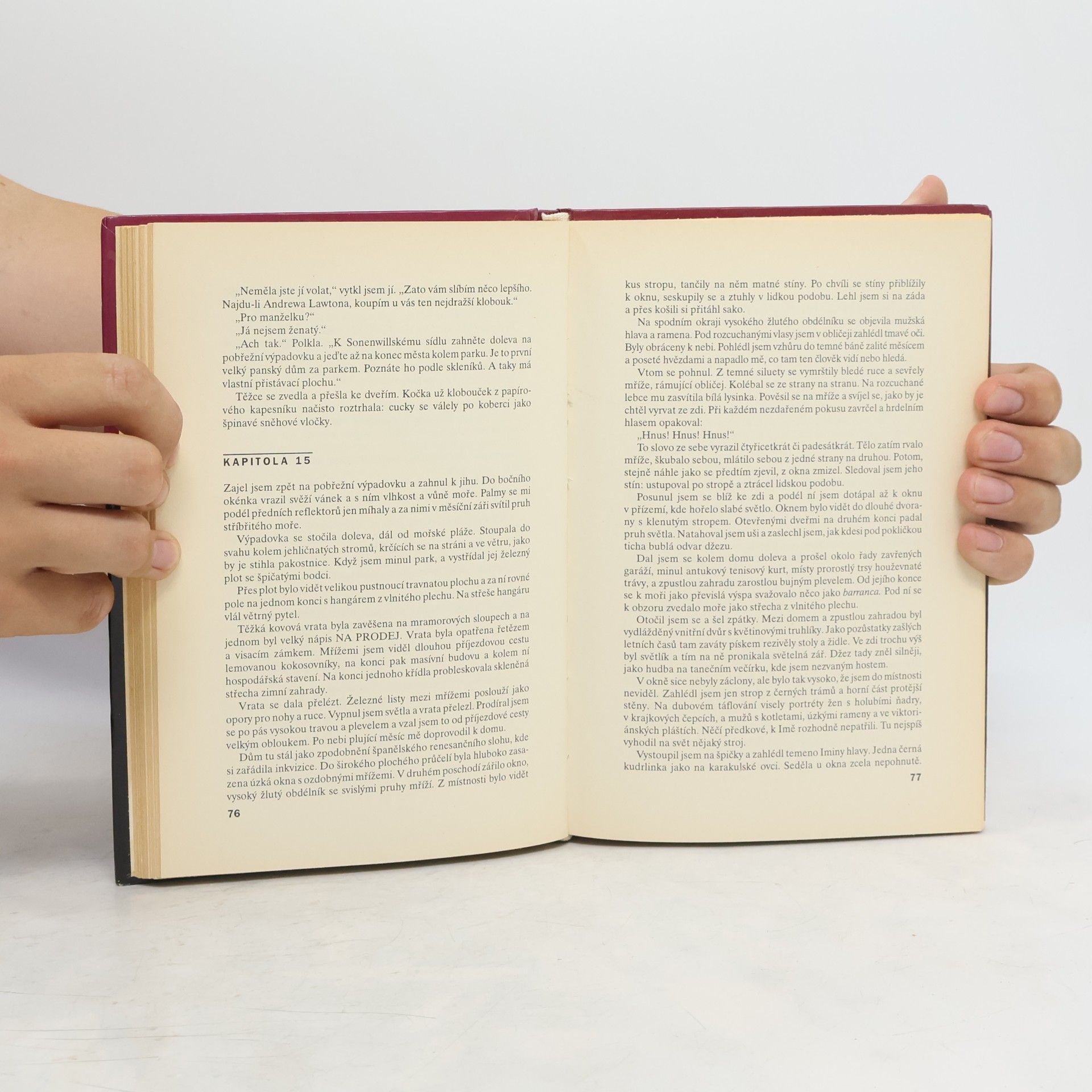 James Hadley Chase Ztracená naděje