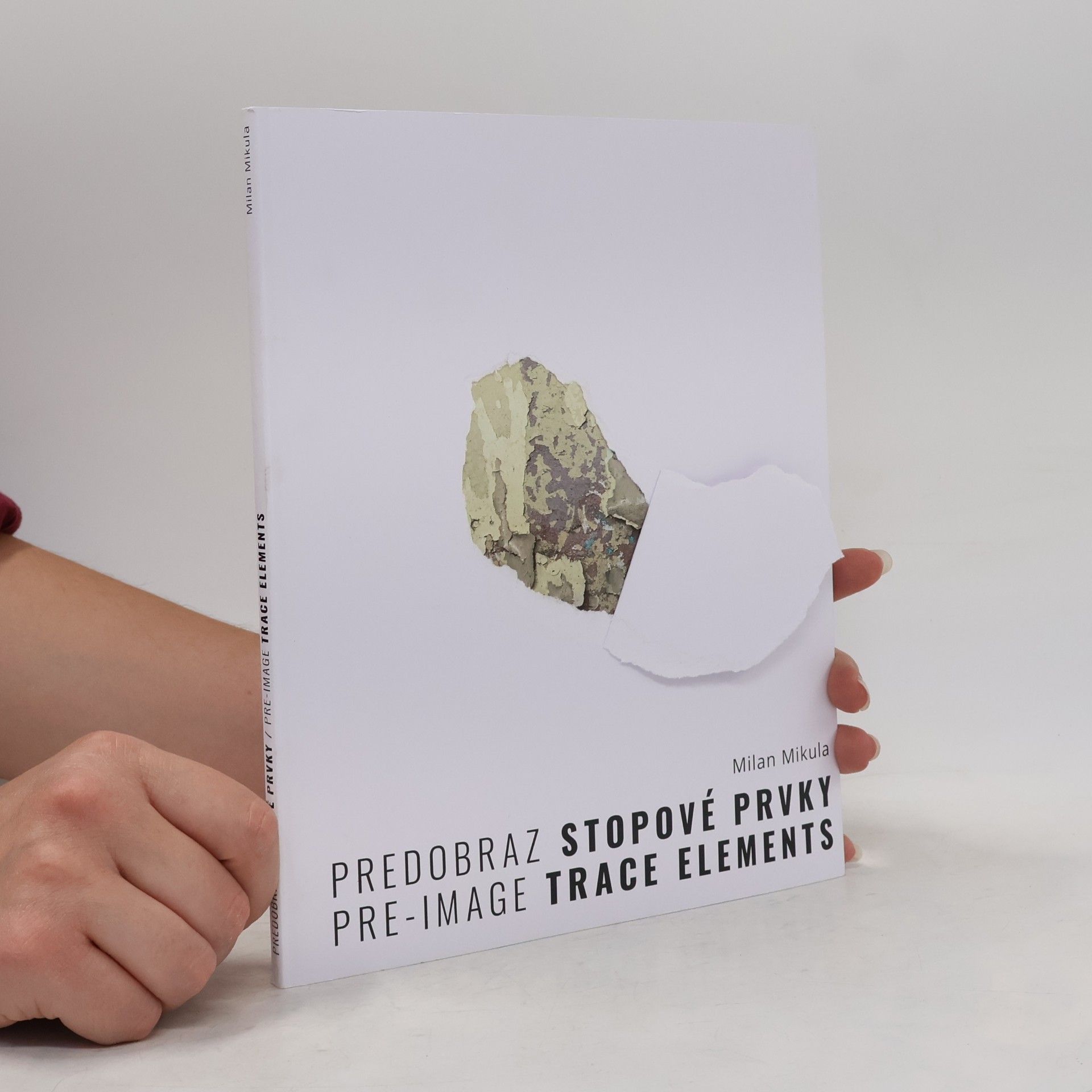Mária Beňačková Rišková Predobraz stopové prvky / Pre-Image Trace Elements