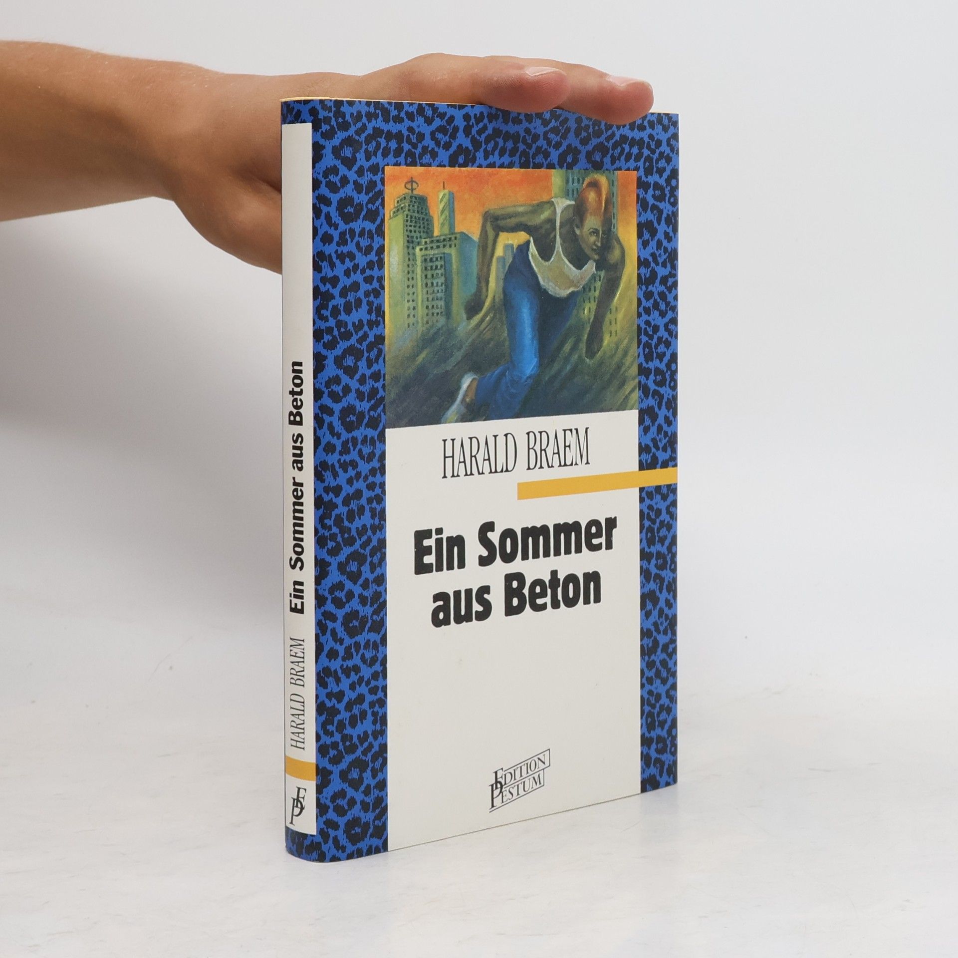 Harald Braem Ein Sommer aus Beton
