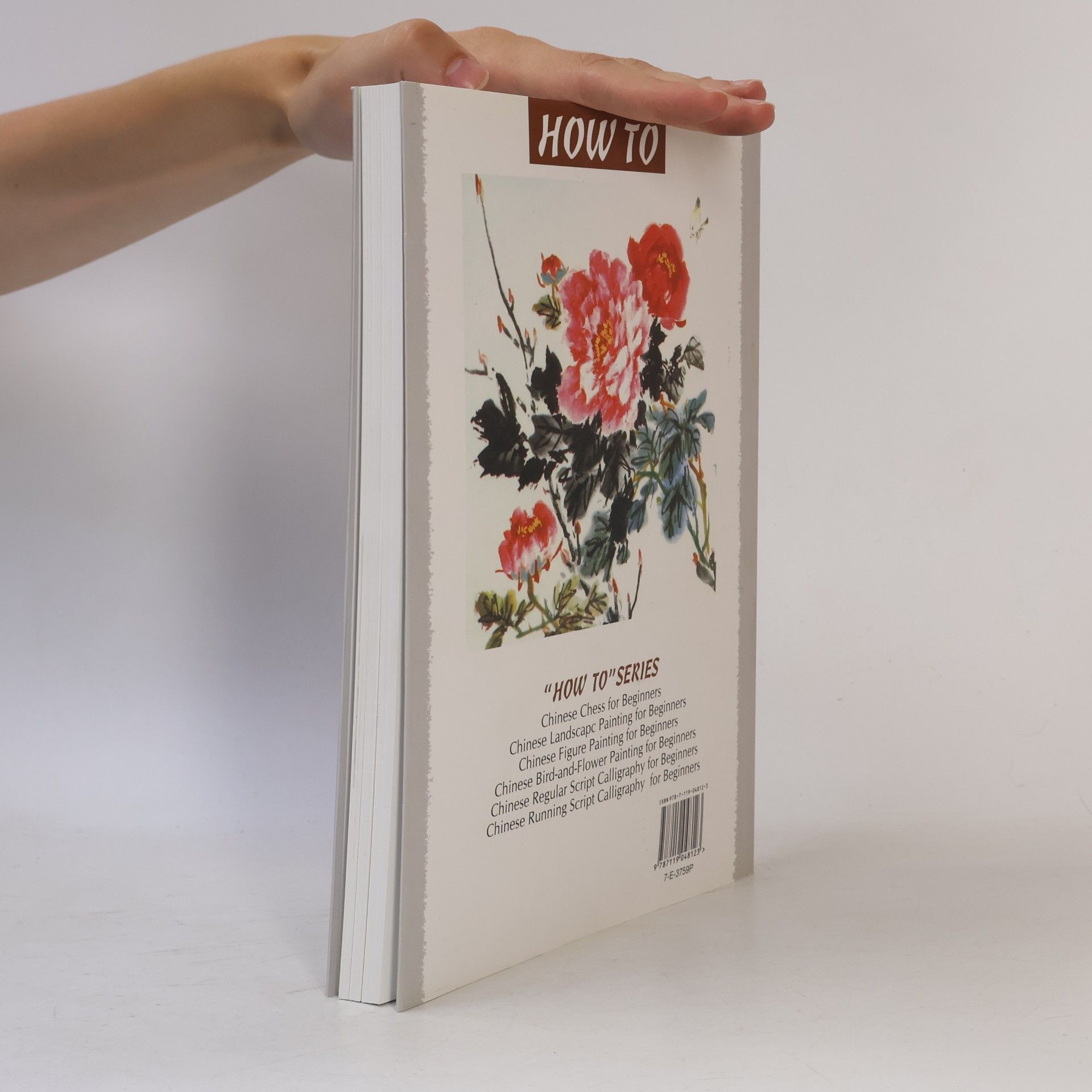 Ma Zhifeng How To: Chinese Bird-and-Flower Painting for Beginners