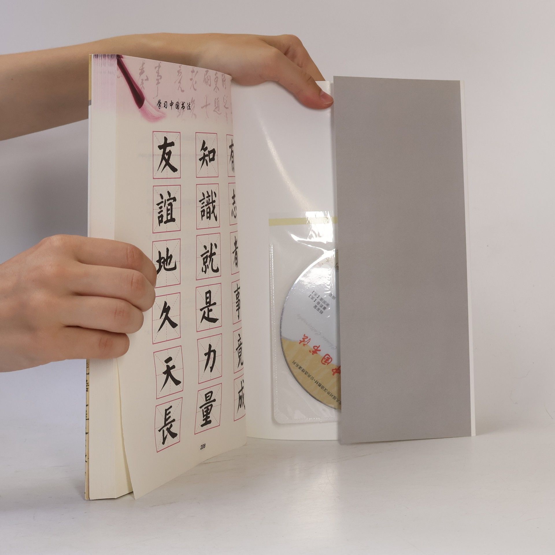 Jiaao Han 学习中国书法