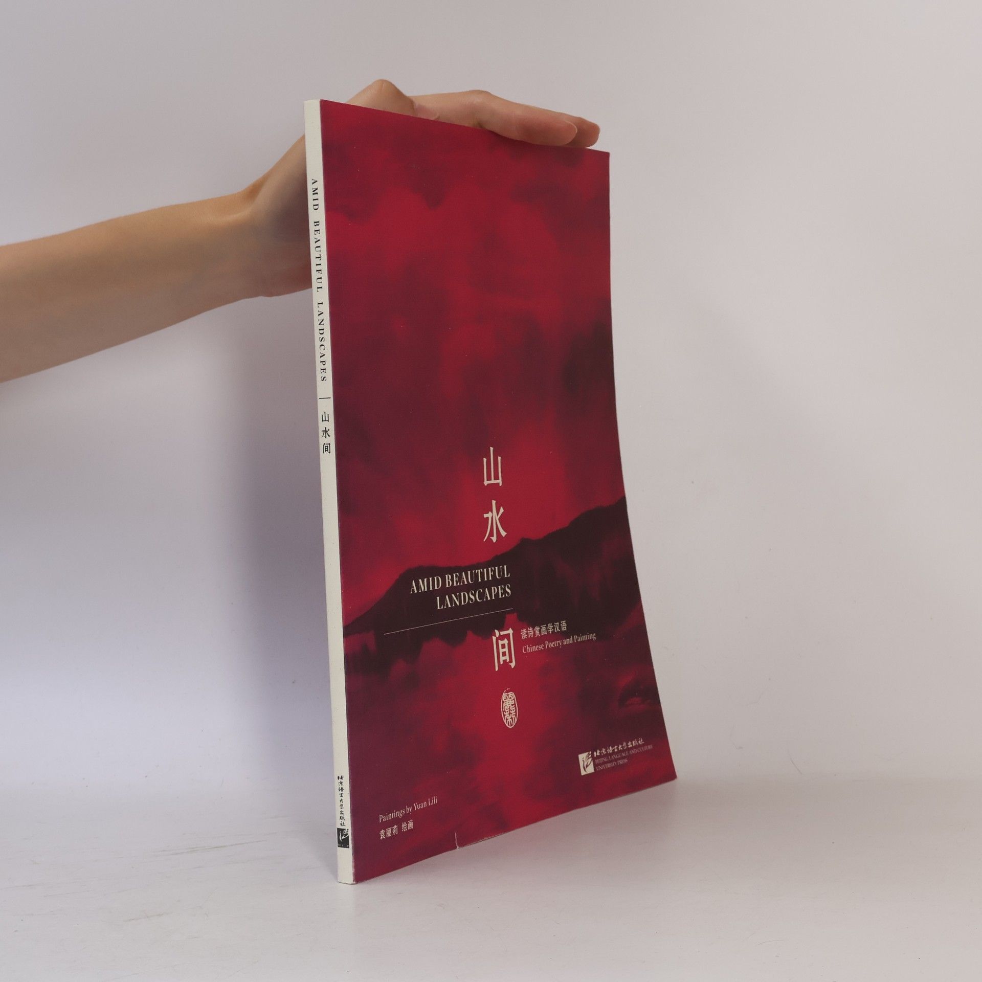 Lili Yuan 山水间 / Amid Beautiful Landscapes - 读诗赏画学汉语 / Chinese Poetry and Painting (Simpilified Chinese)