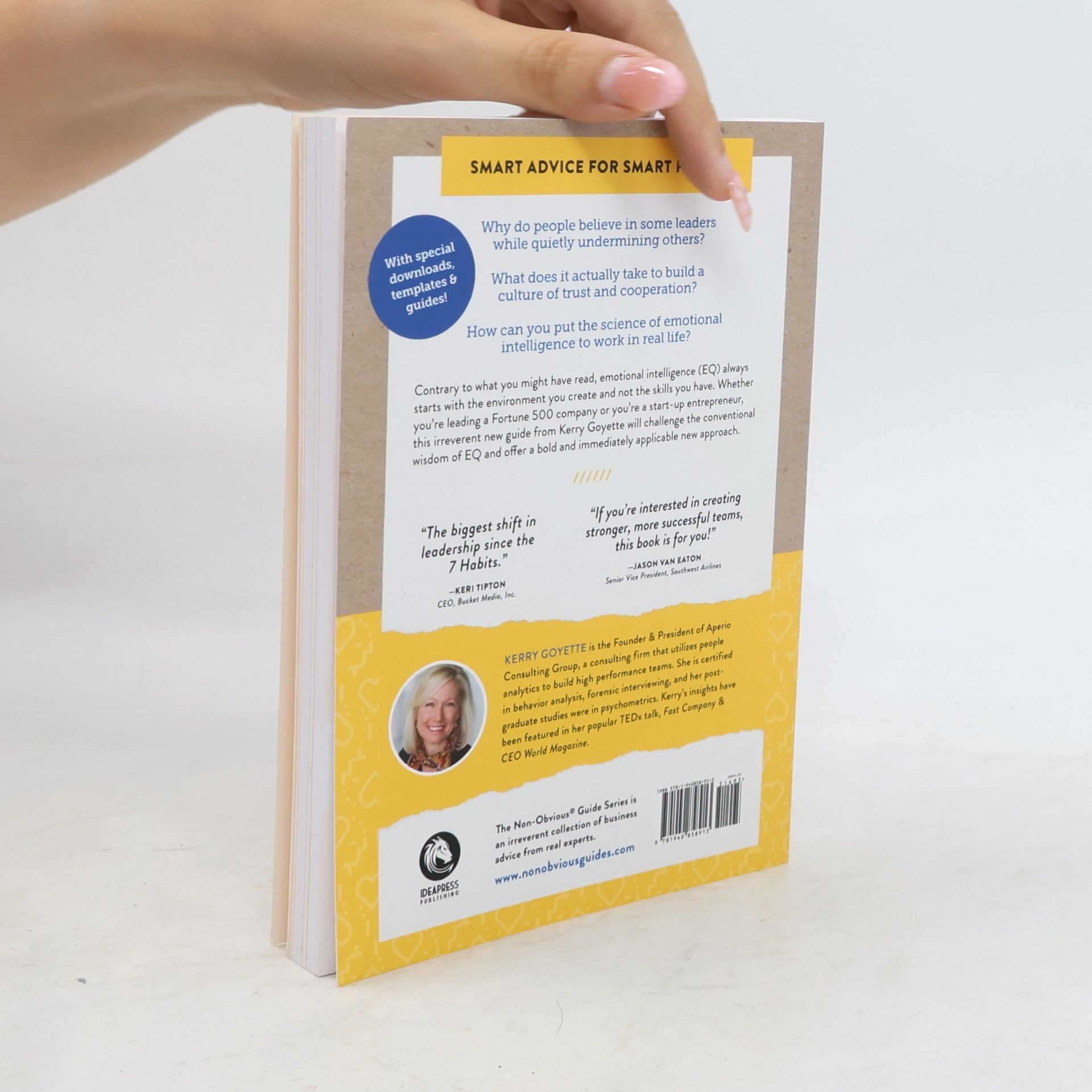 Kerry Goyette The Non-Obvious Guide to Emotional Intelligence