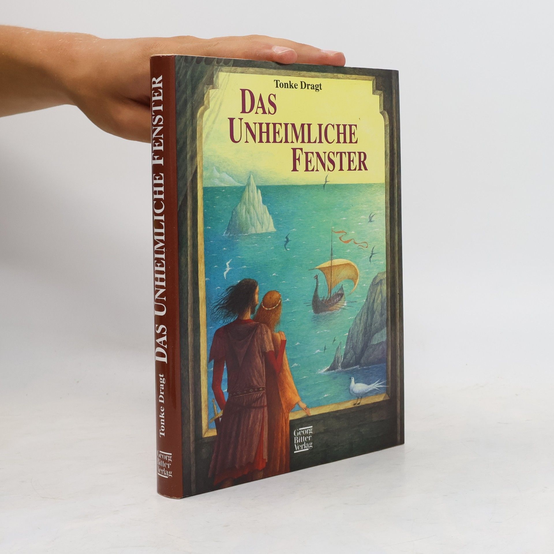 Tonke Dragt Das unheimliche Fenster