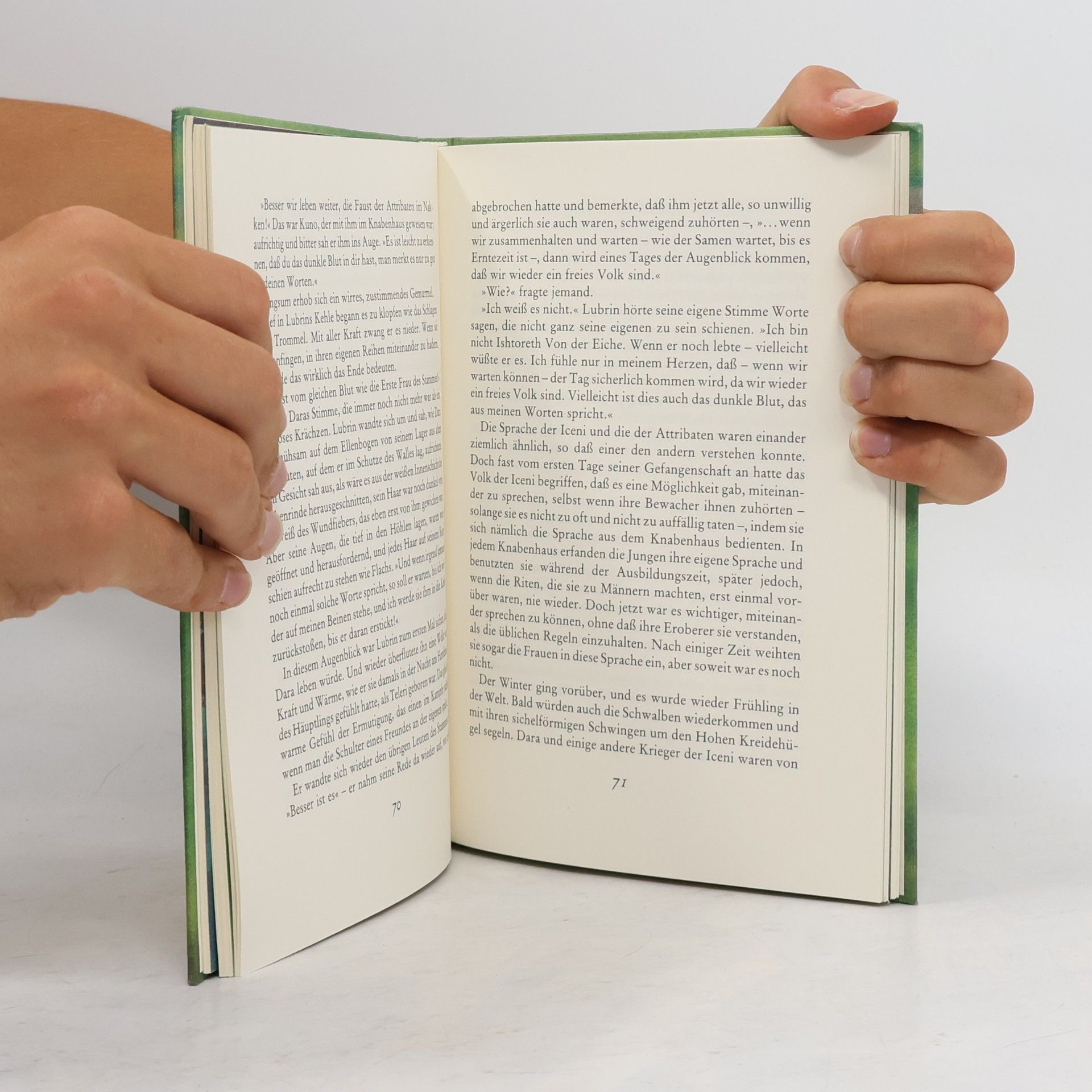Rosemary Sutcliff Lubrin und das Sonnenpferd