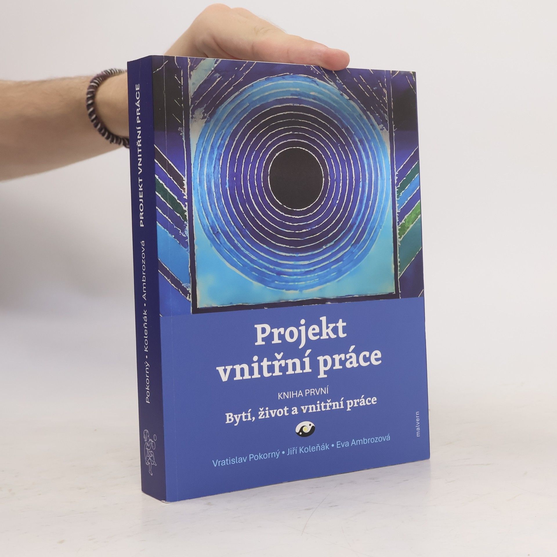 Vratislav Pokorný Projekt vnitřní práce 1