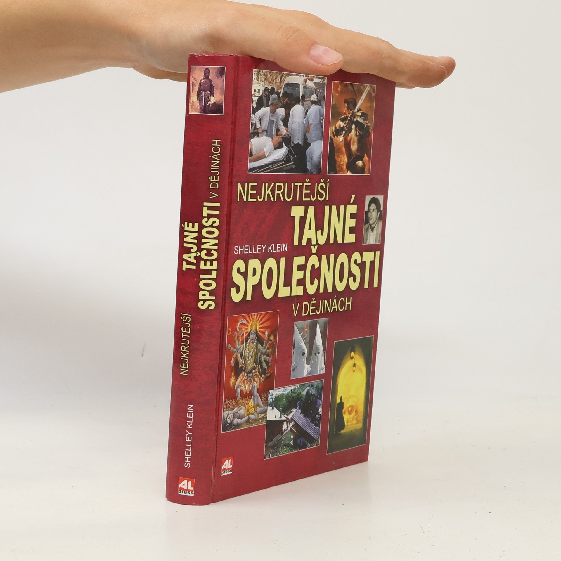 Shelley Klein Nejkrutější tajné společnosti v dějinách