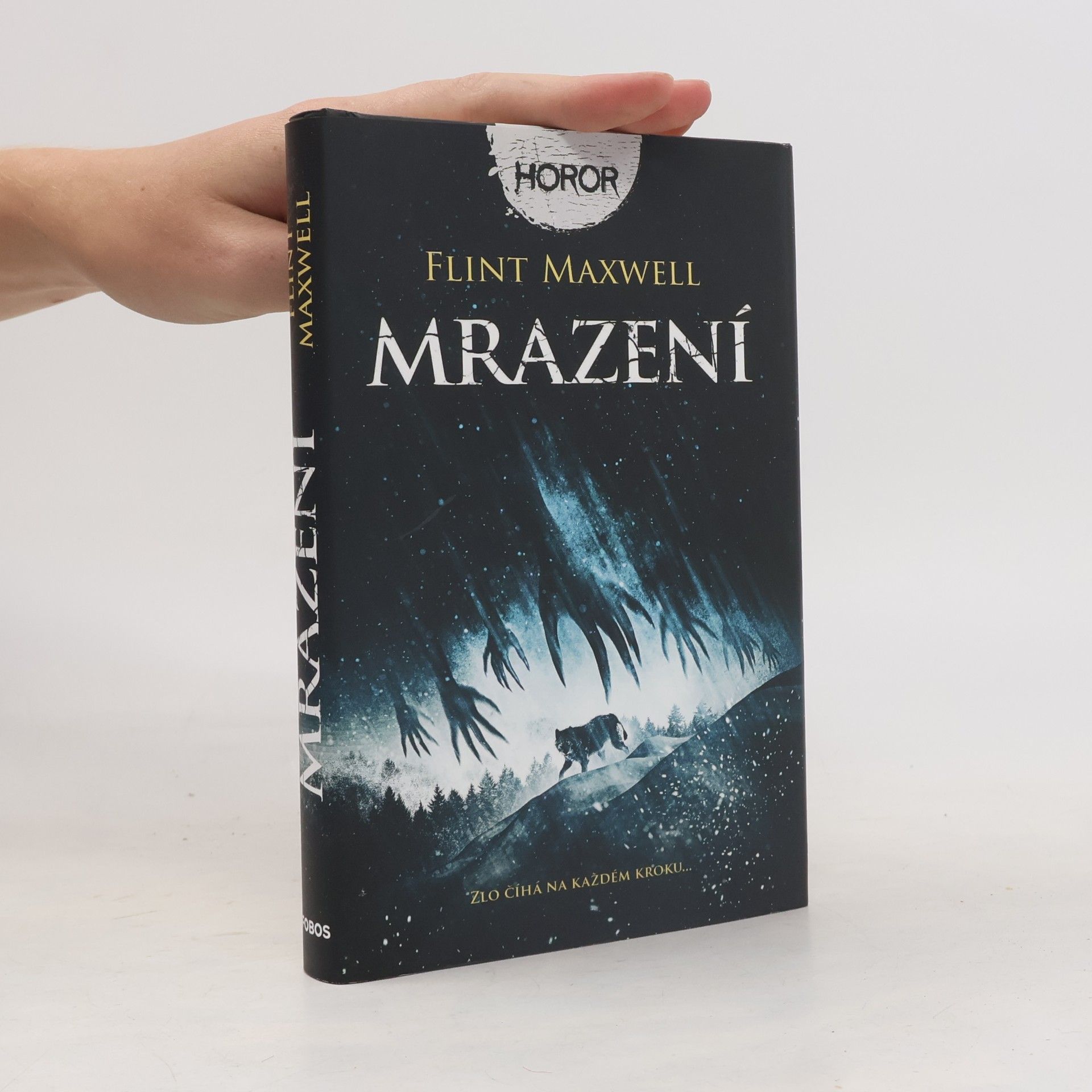 Flint Maxwell Mrazení