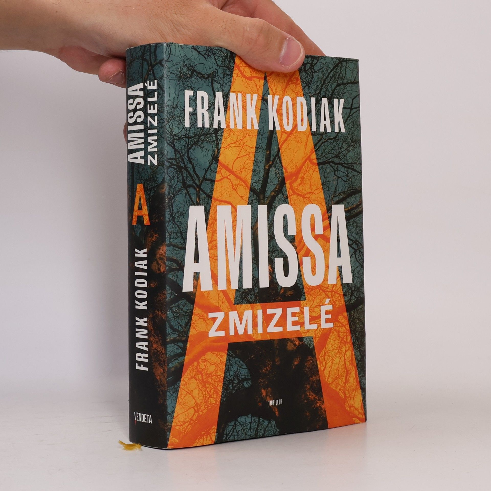 Hendrik Winter Amissa. Zmizelé