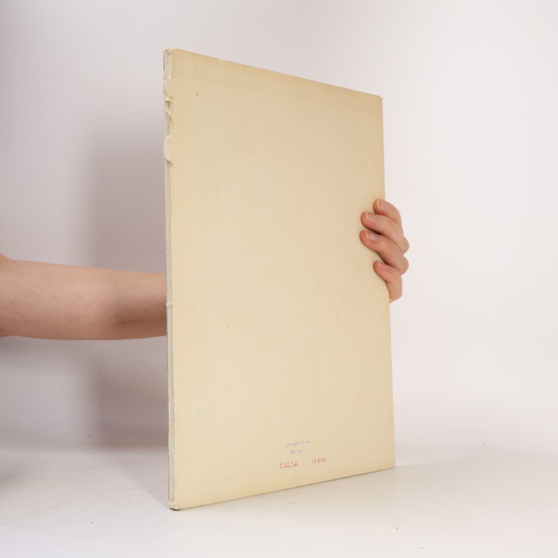 Collectif d'auteurs Vlastenecký příklad České kresby XIX. století