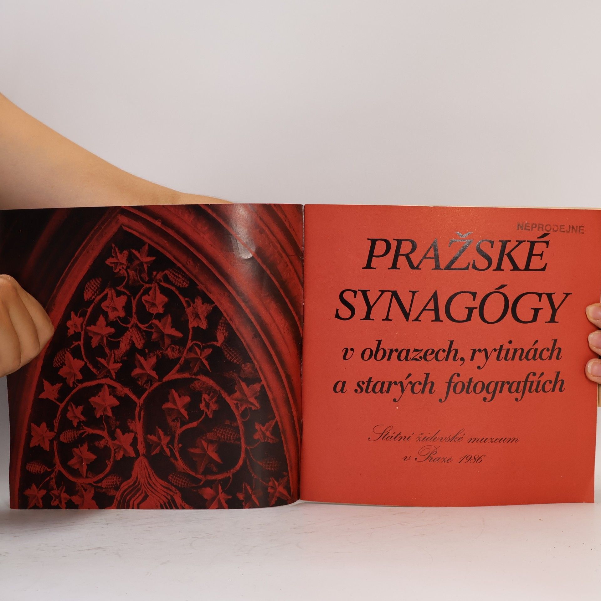 Arno Pařík Pražské synagogy