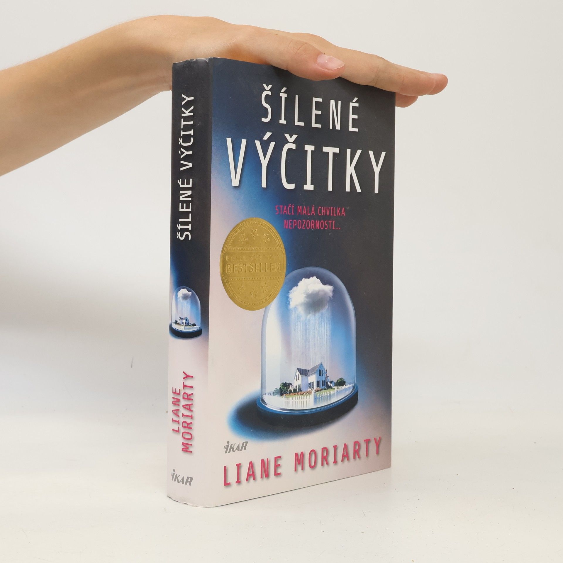 Liane Moriarty Šílené výčitky