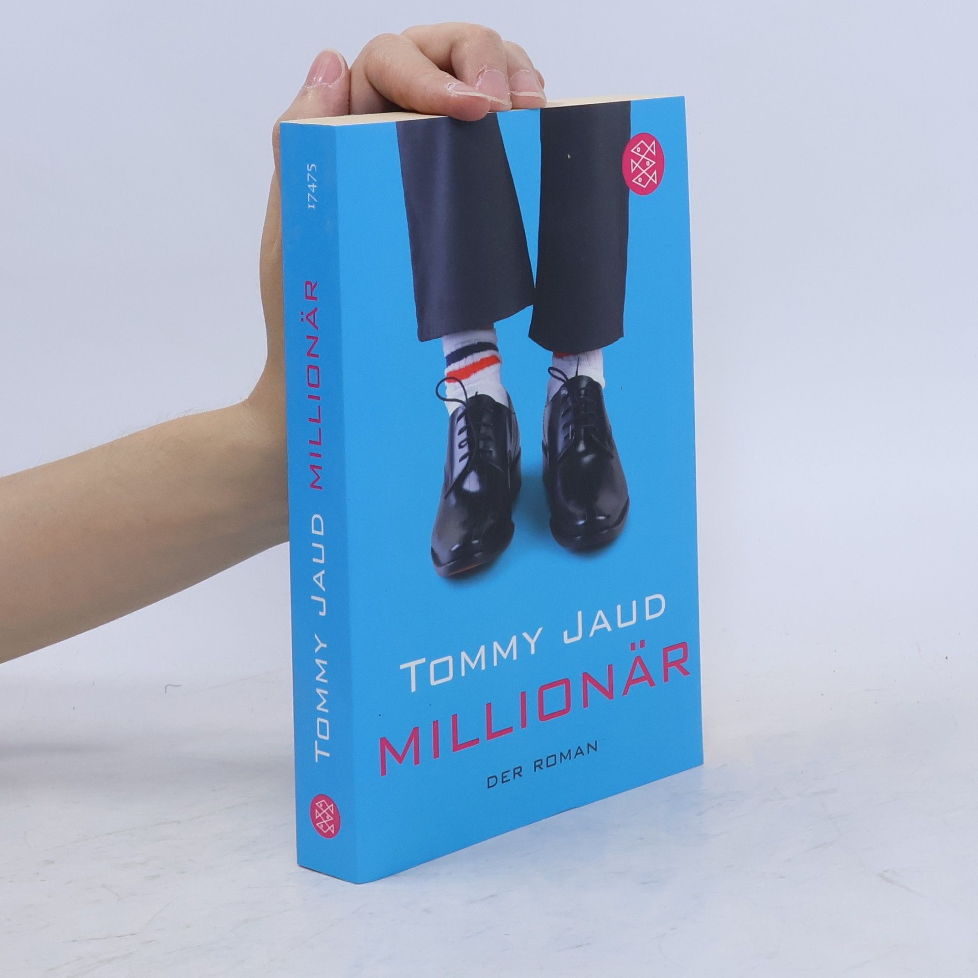 Tommy Jaud Millionär